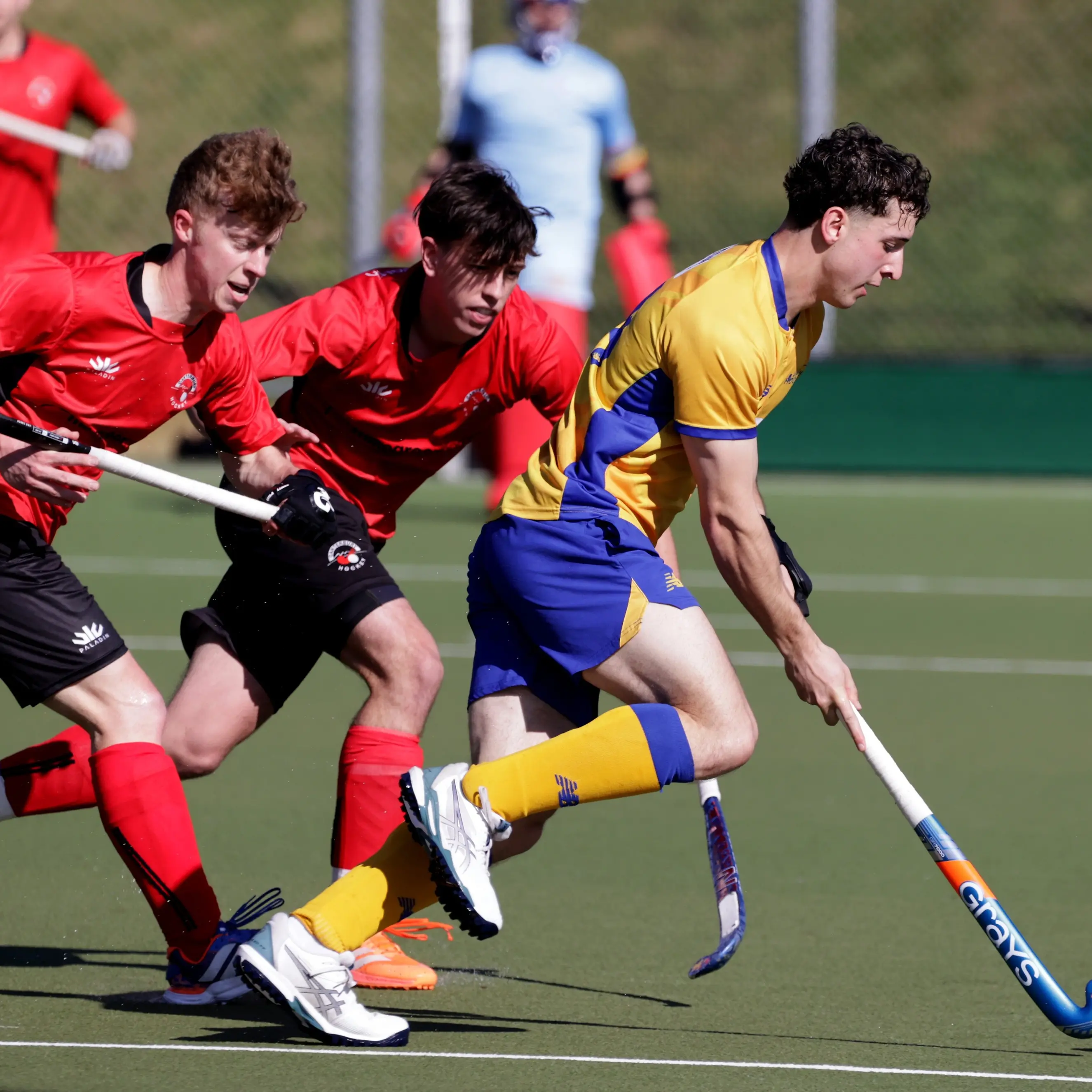 Otago men through to the final of the NHC