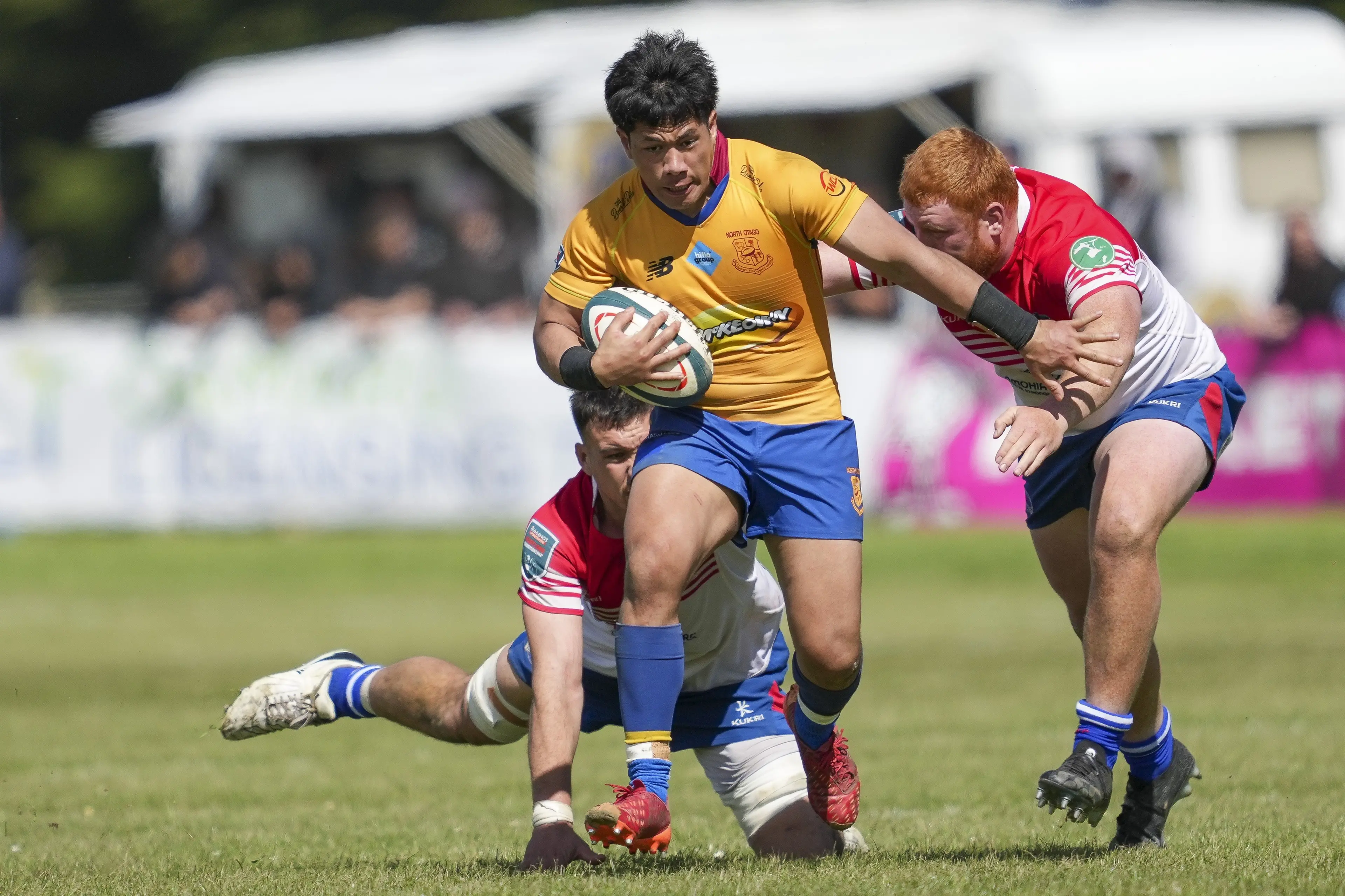 Tini Feke scored twice for North Otago in their win over South Canterbury on Saturday. Photo: NZ Rugby/Smartframe