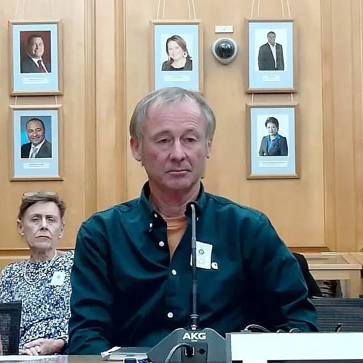 Seismic risk change for quake-prone buildings disappoints councillors