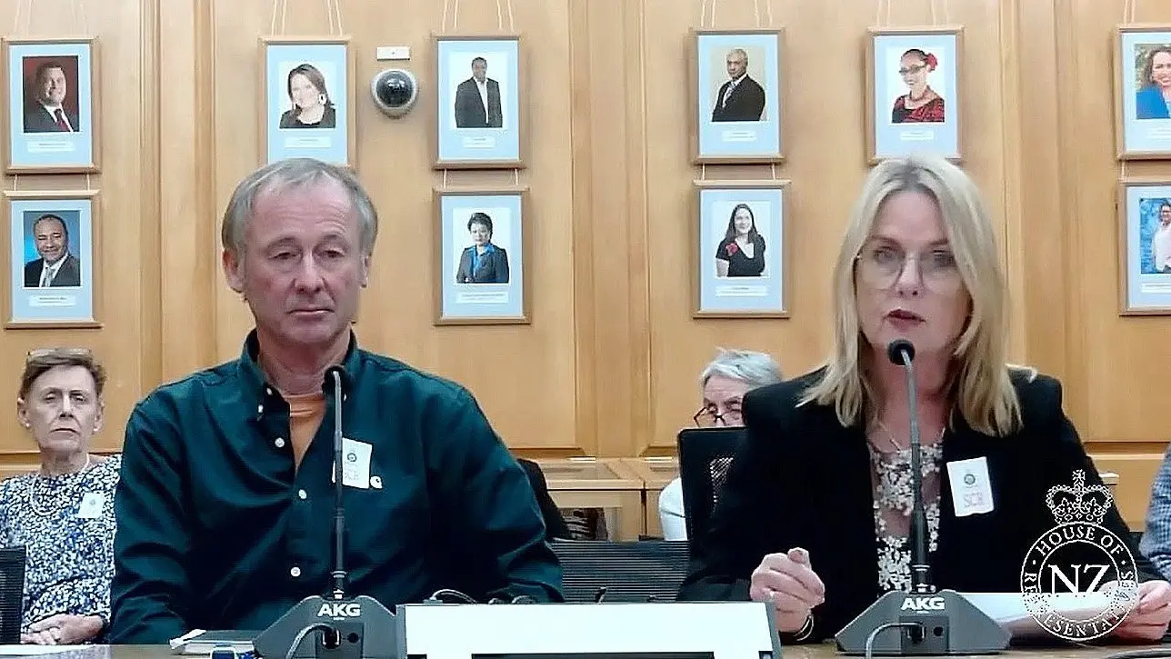 Seismic risk change for quake-prone buildings disappoints councillors