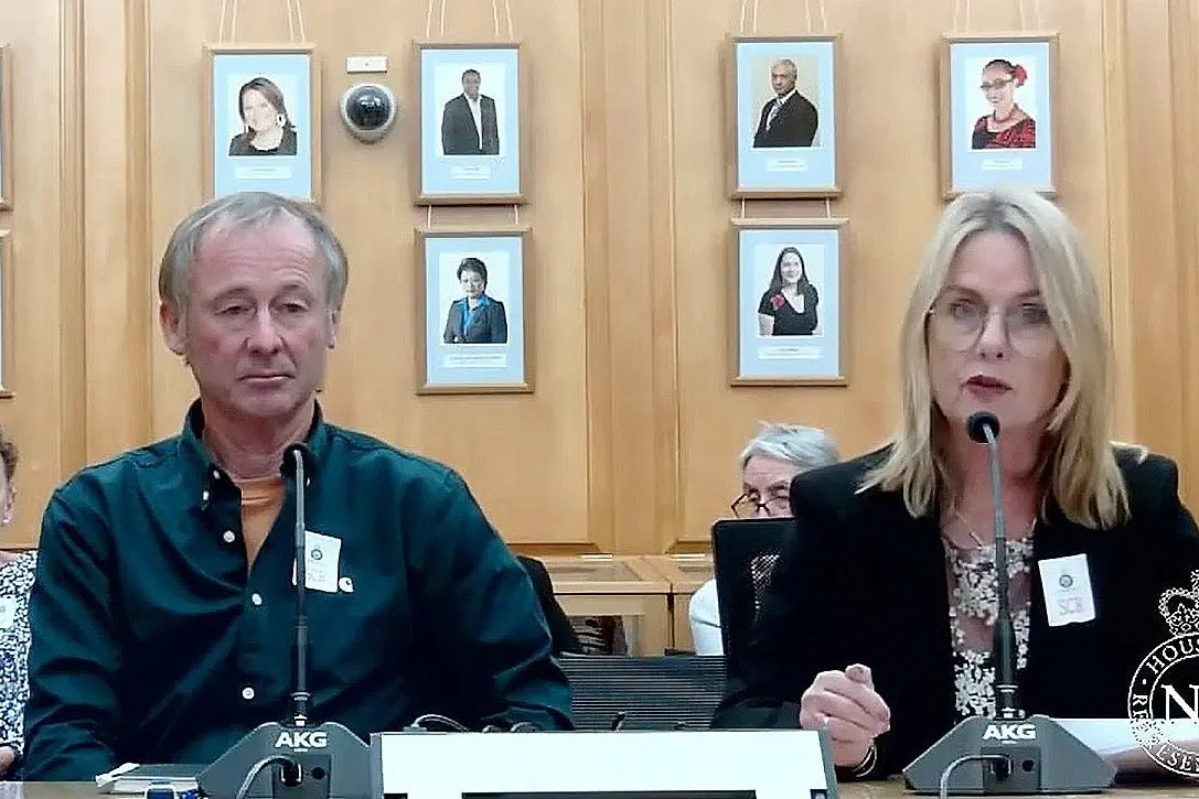 Seismic risk change for quake-prone buildings disappoints councillors