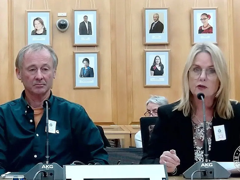 Seismic risk change for quake-prone buildings disappoints councillors