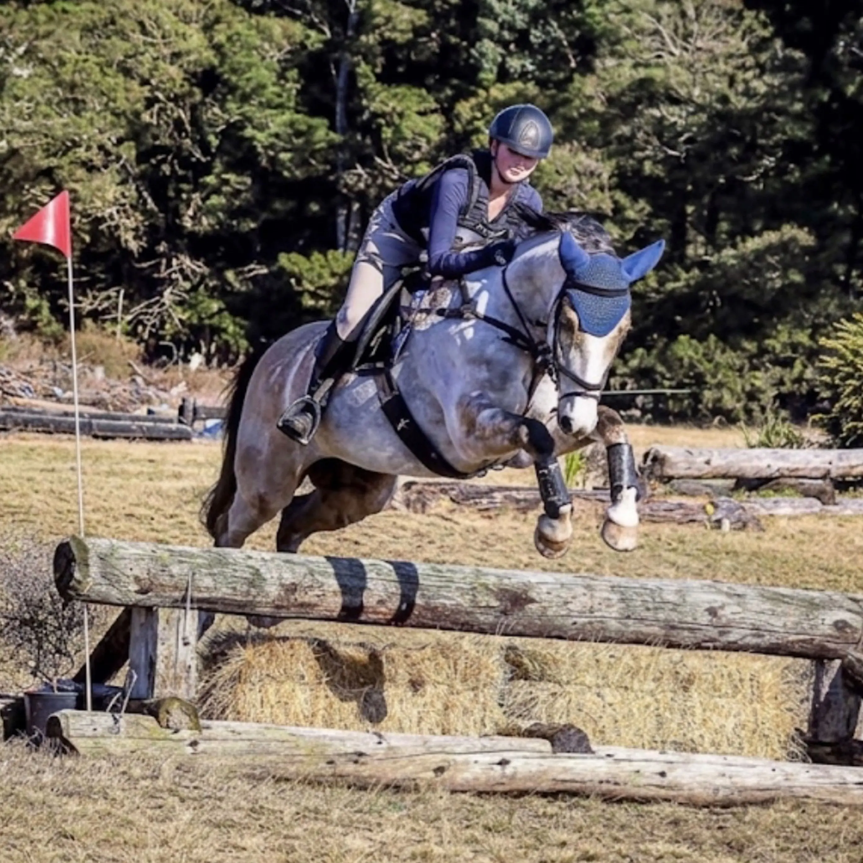 Prestigious pony club event returns to Mid Canterbury