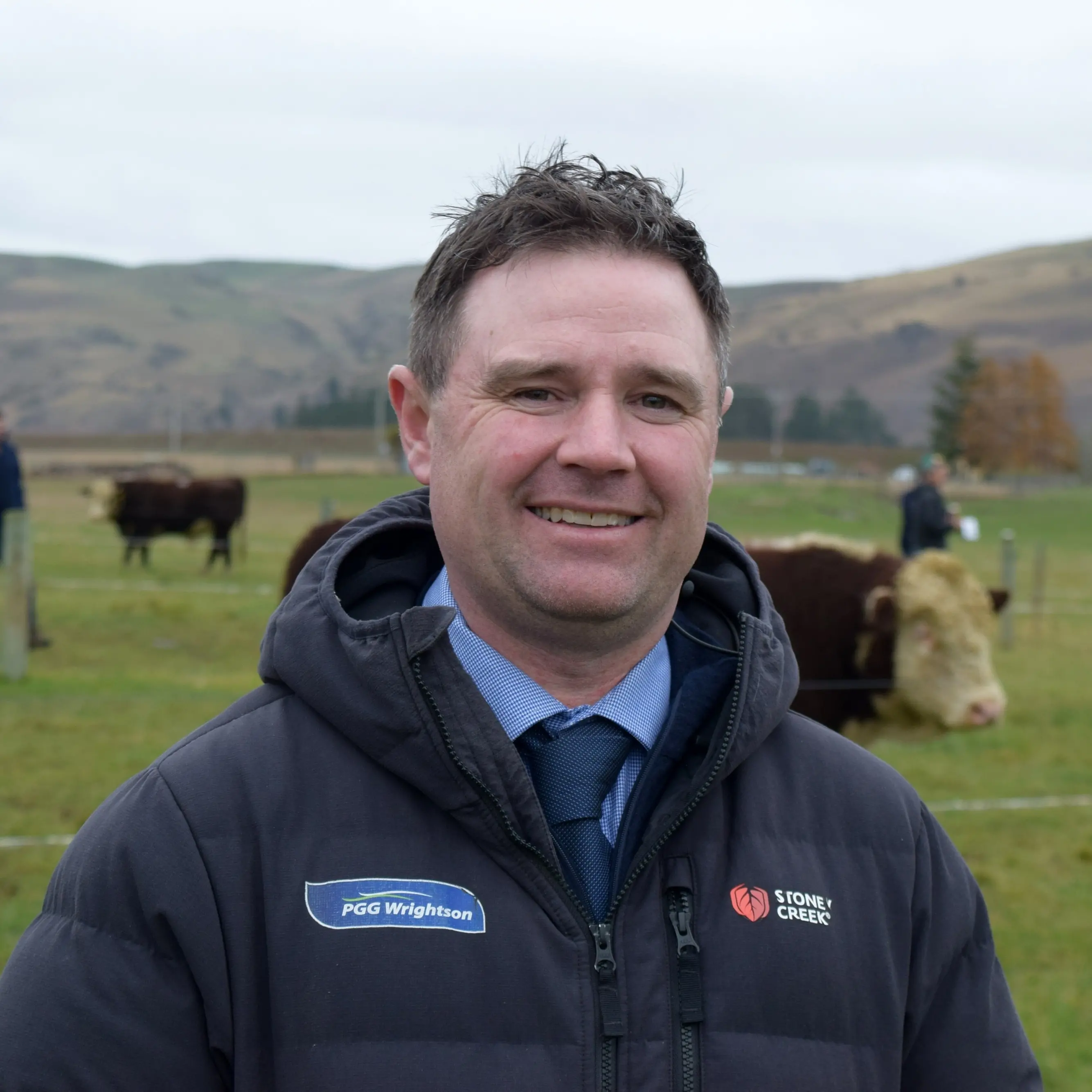 A hope of higher prices for yearling bulls to continue at southern sales