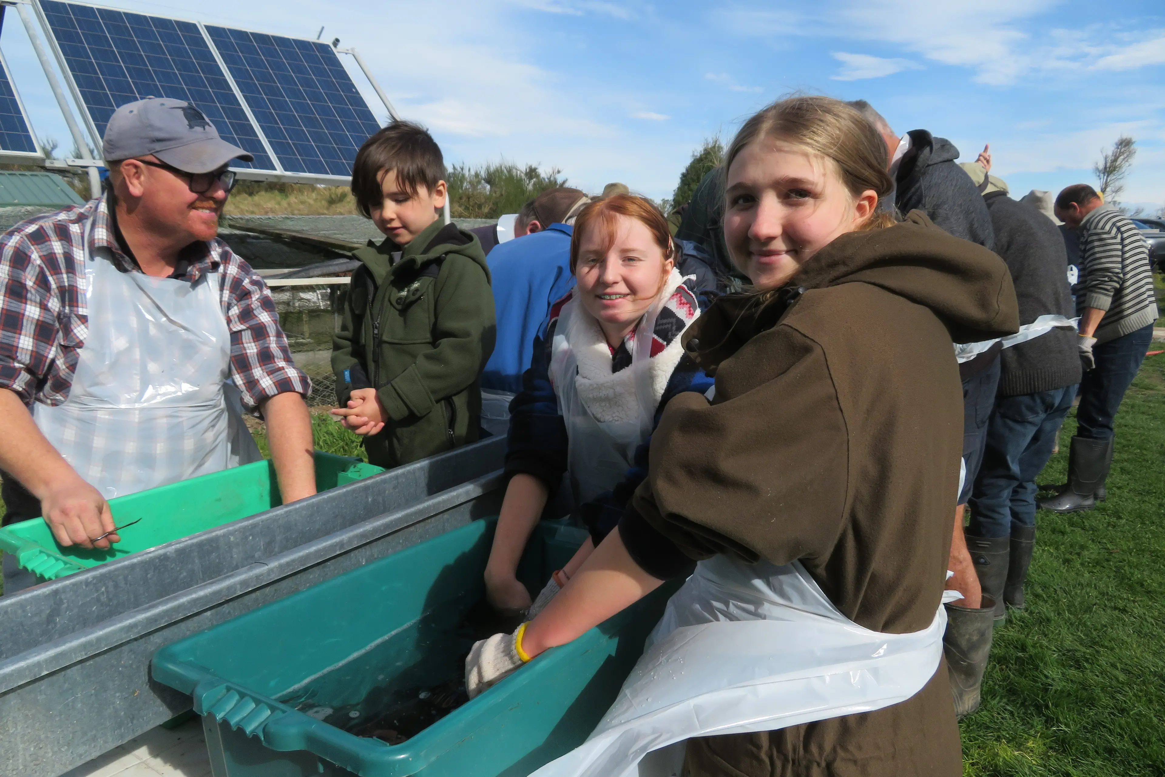 Some of the younger volunteers at the McKinnons Creek salmon hatchery hard at work on fin clipping day. Photo: Supplied