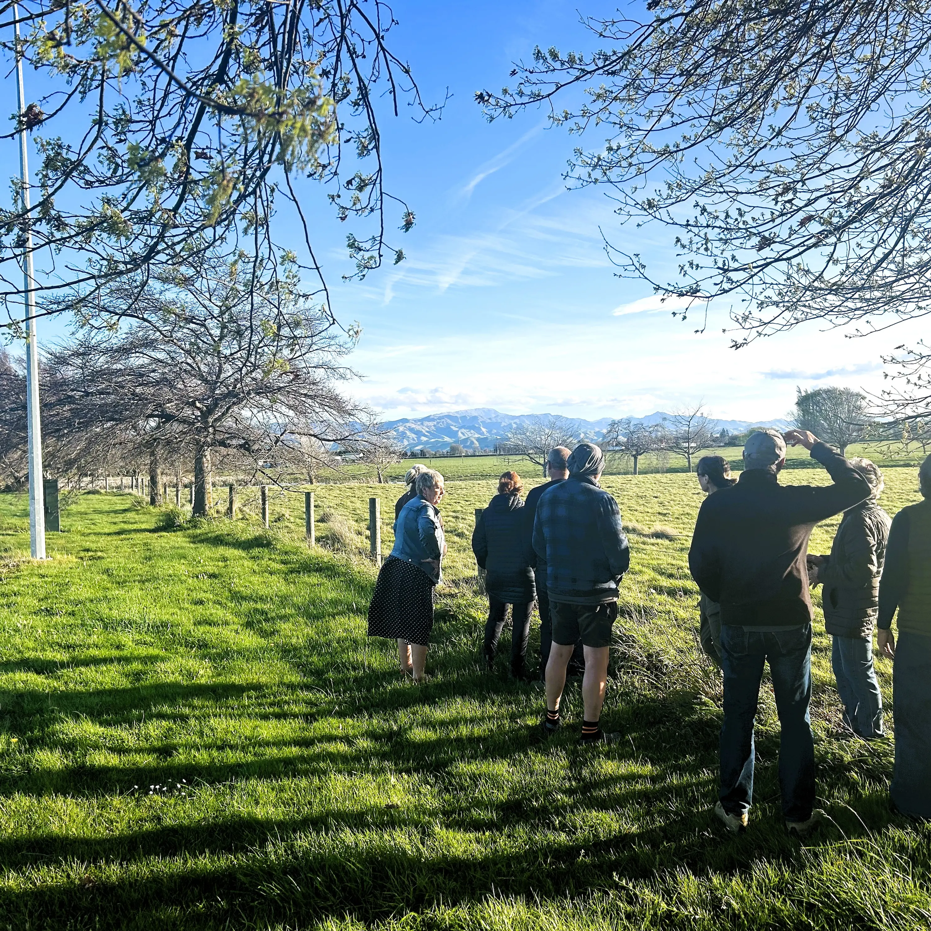 Power to the people as residents strike back at solar farm plans