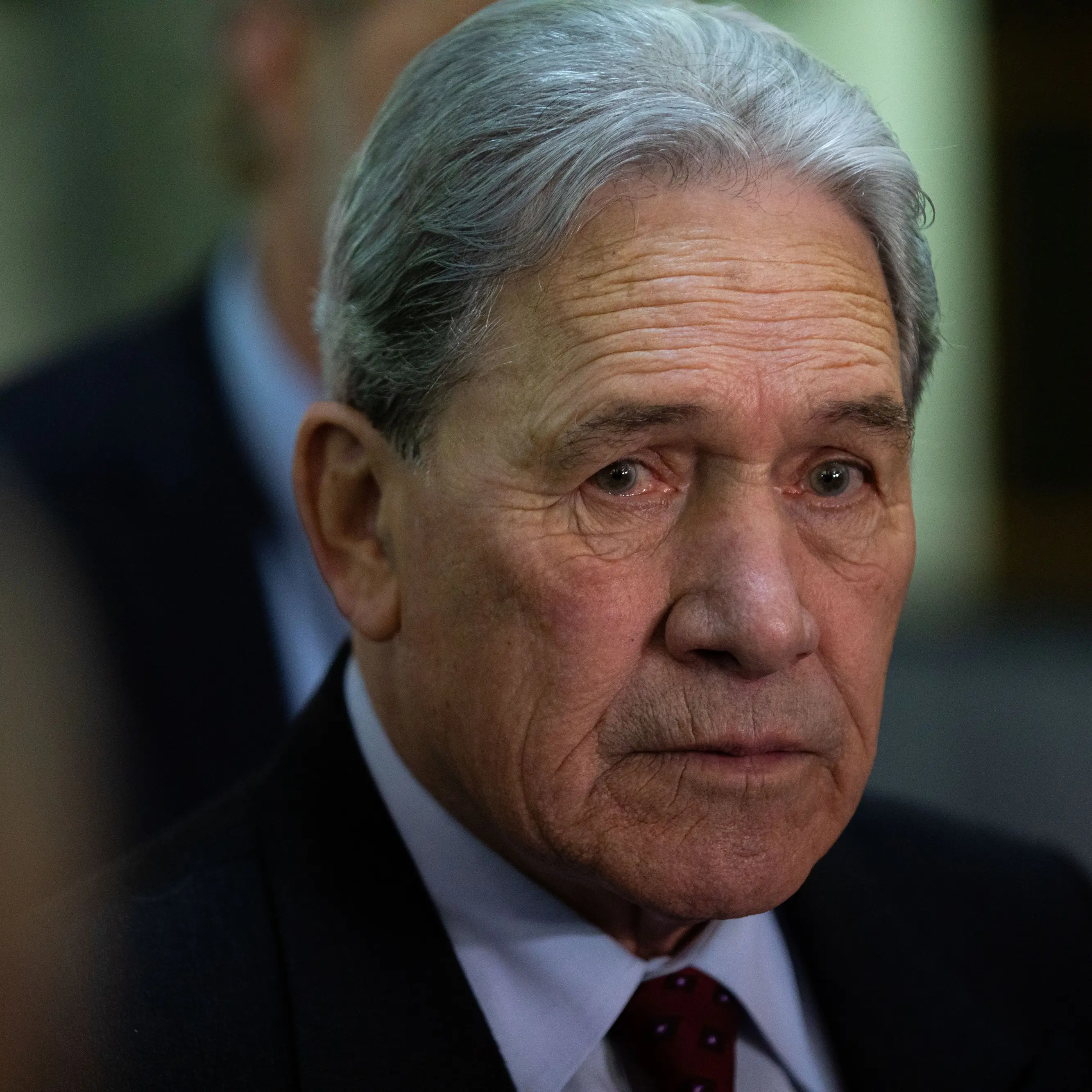 Nuclear-free policy has a cost: Peters