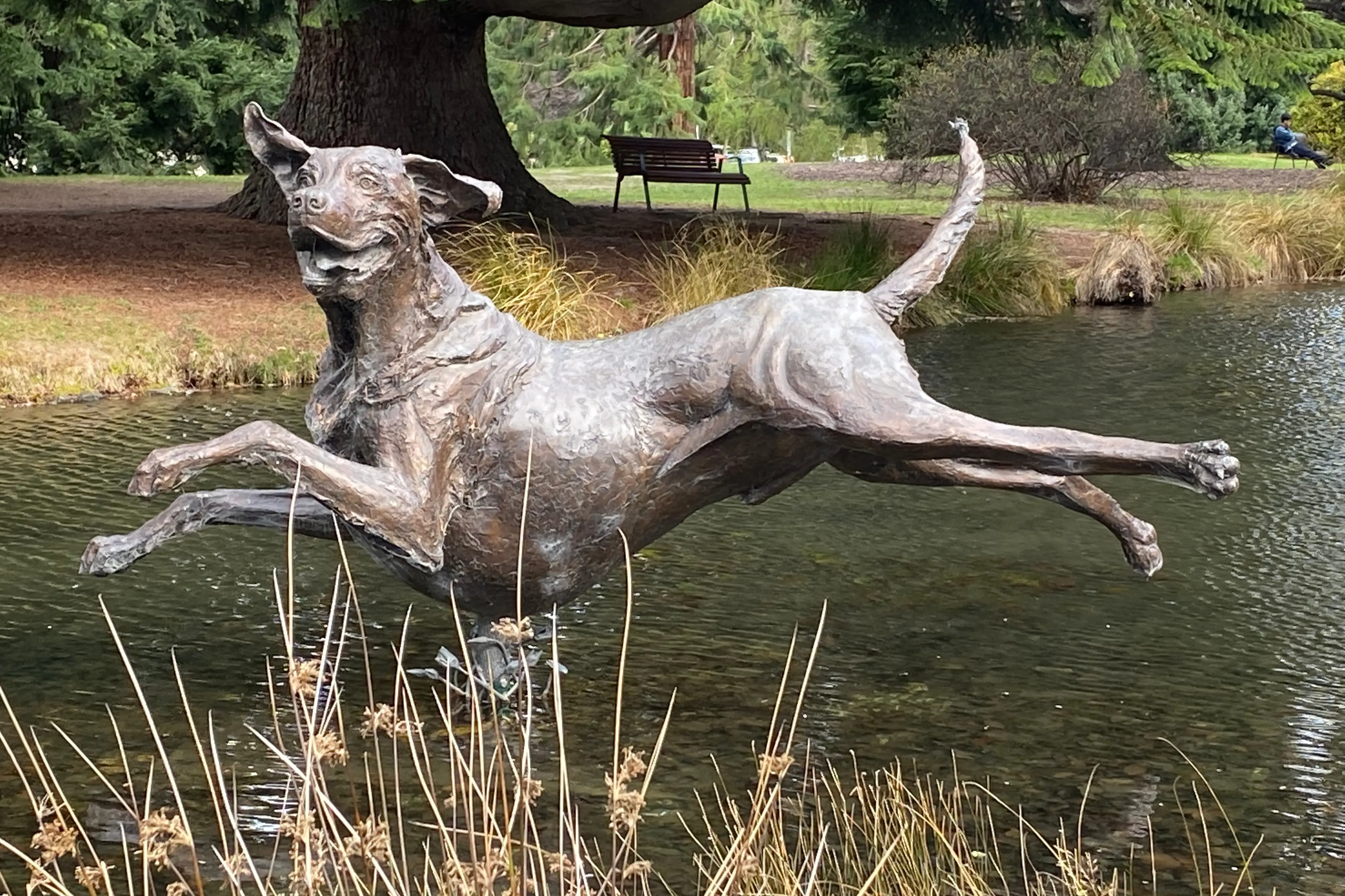 Recent example: Richard Wells\\u2019 bronze sculpture, \\u2018Kuri\\u2019, of a giant dog\\u00A0in a Queenstown Gardens pond\\u00A0was commissioned by the Lakes District Public Art Trust. Photo: Philip Chandler