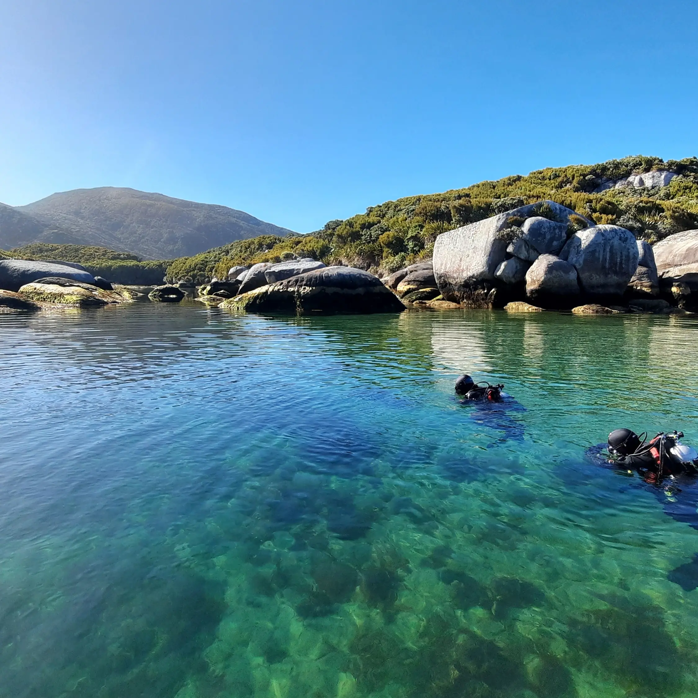 Fisherman helps protect Stewart Island from marine pest threat