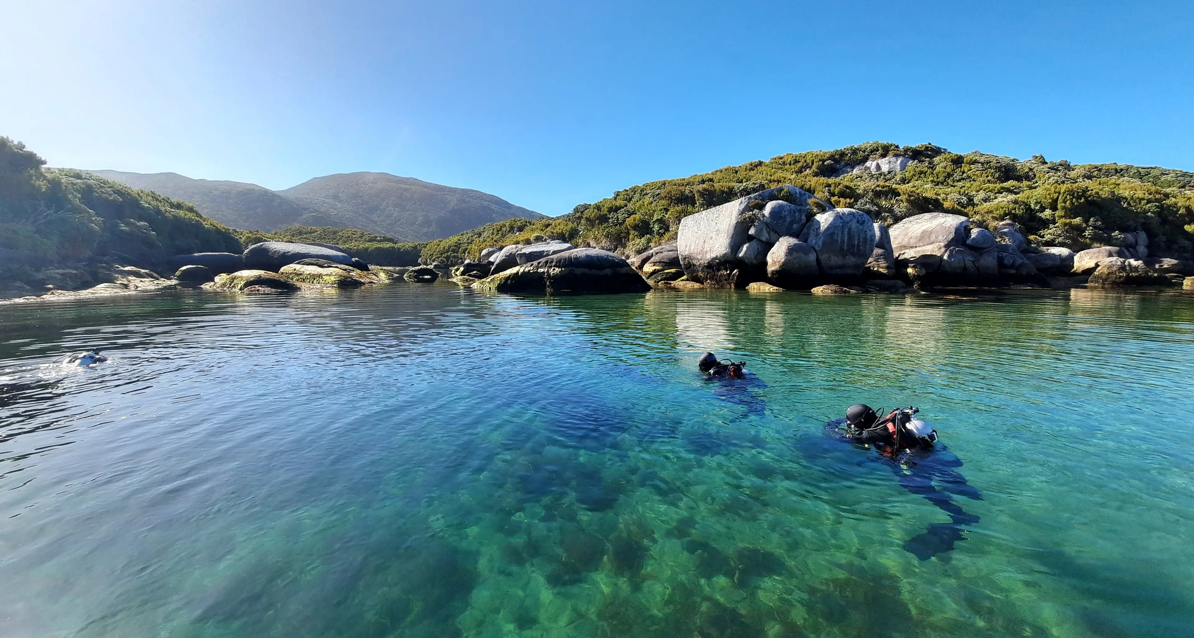 Fisherman helps protect Stewart Island from marine pest threat