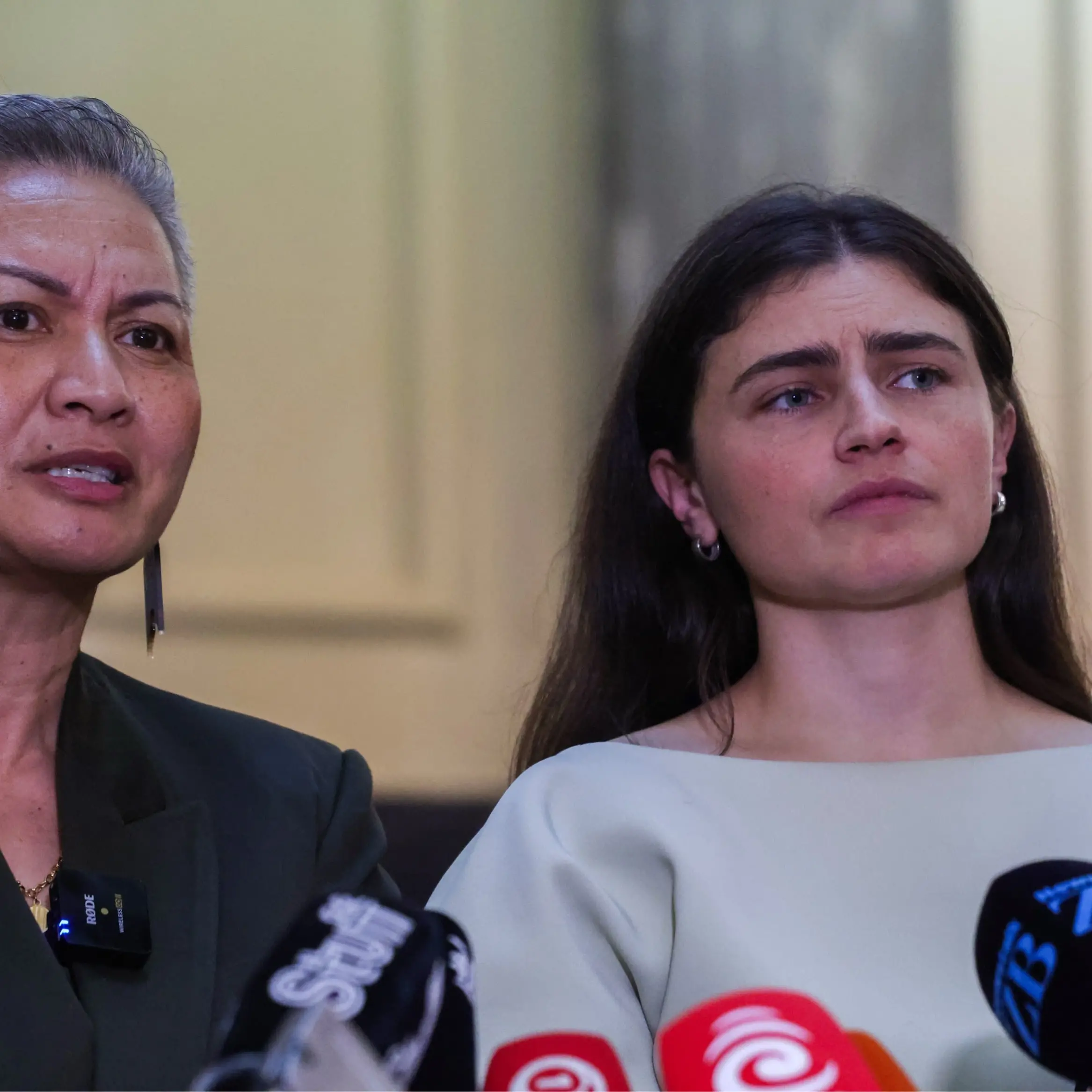 Greens seek to cap political donations, register lobbyists