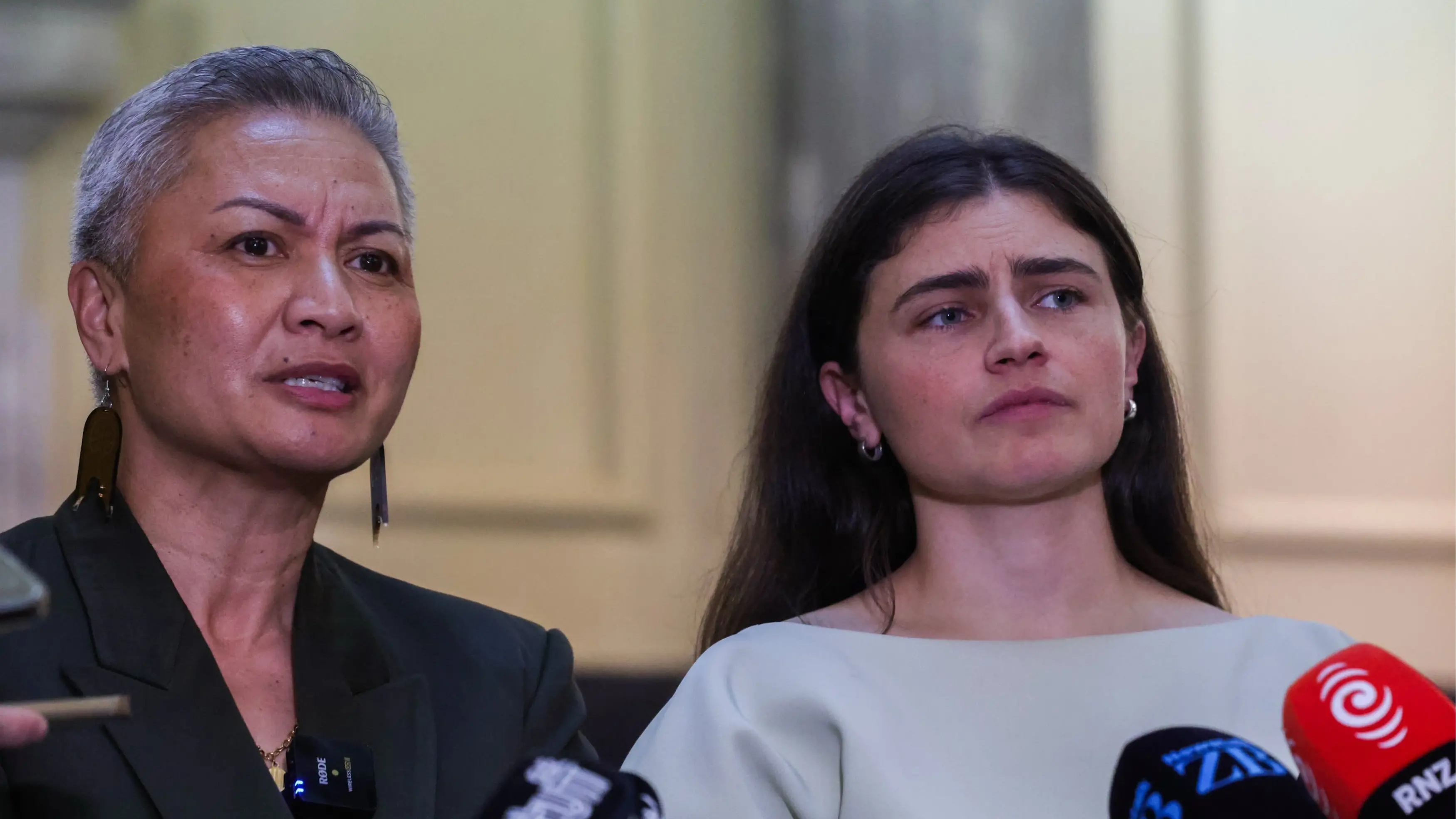 Greens seek to cap political donations, register lobbyists