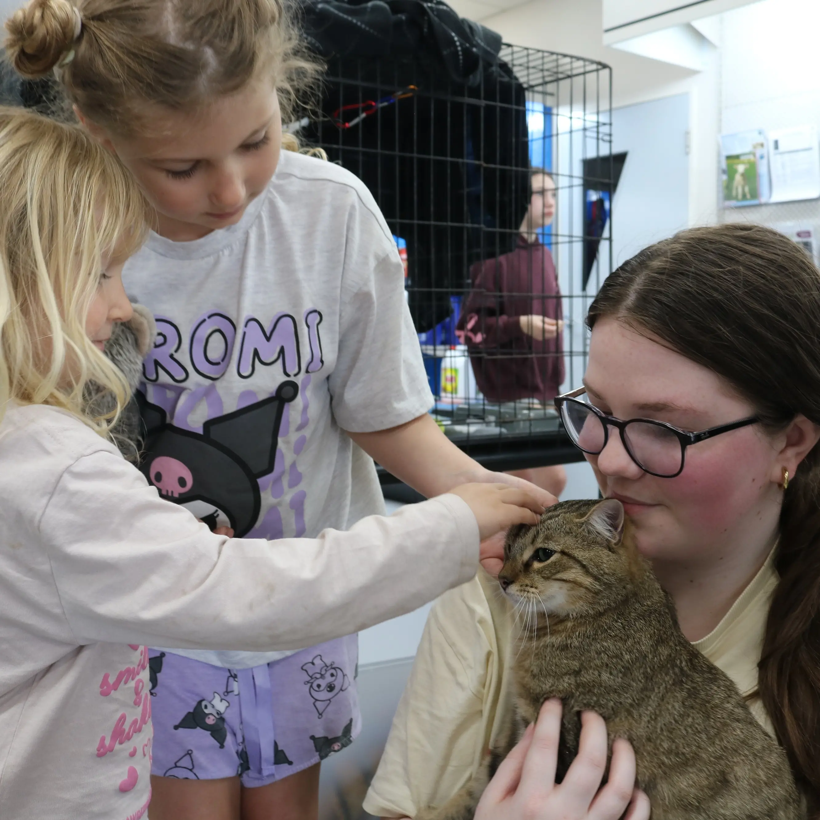 Adoption day ‘great success’ as nine lives found for vulnerable cats and kittens