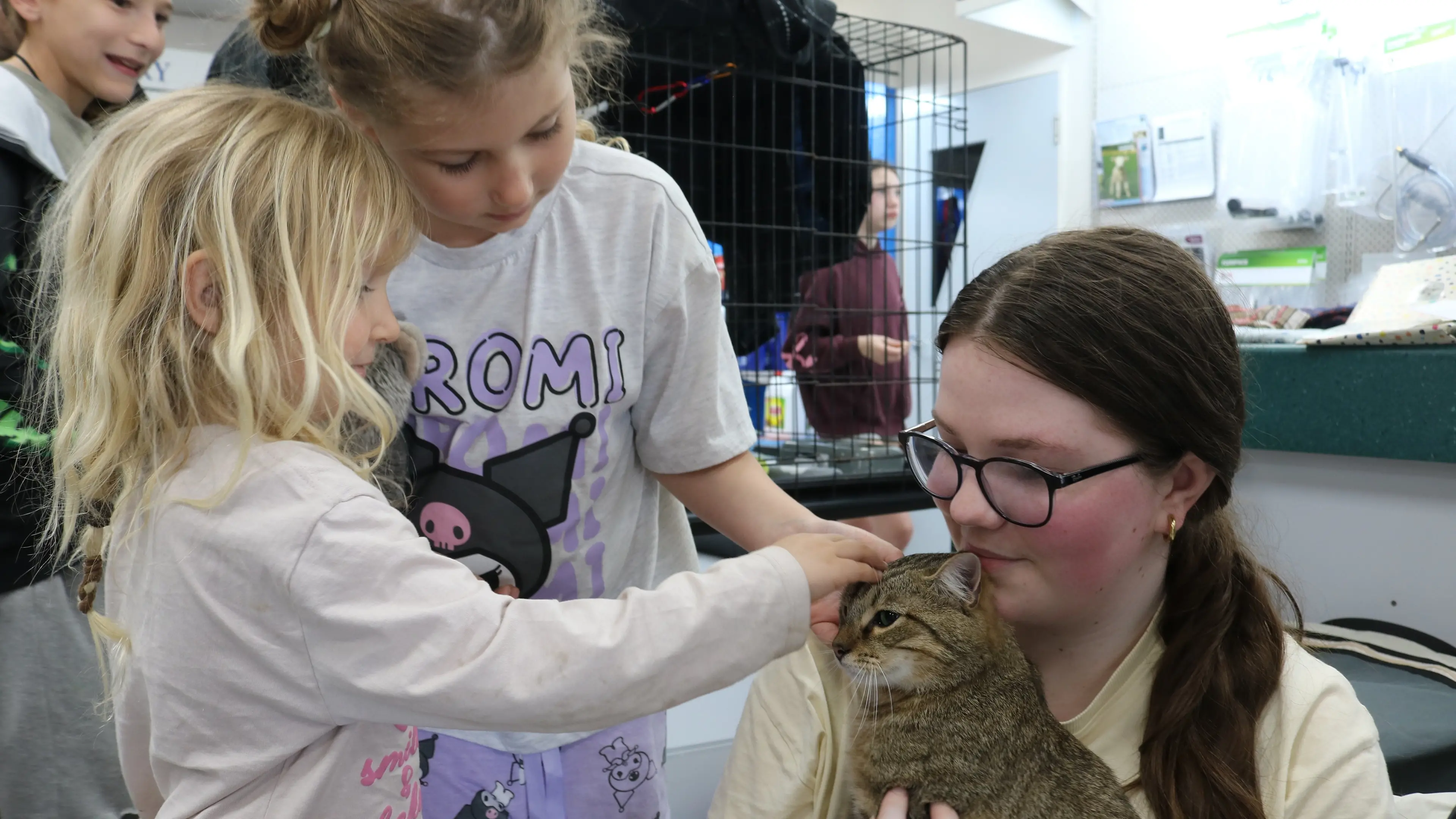 Adoption day ‘great success’ as nine lives found for vulnerable cats and kittens