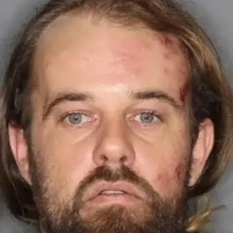 Sex offender who sparked manhunt sentenced to 14 years’ imprisonment