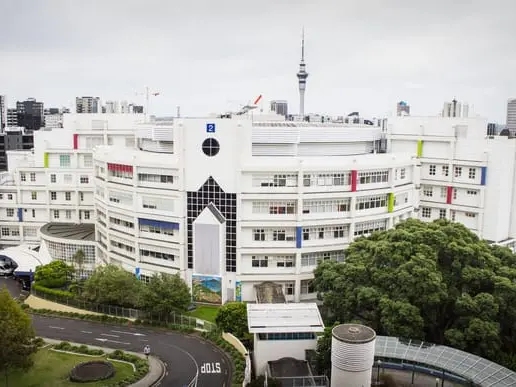 Southland child found badly hurt now at Starship hospital