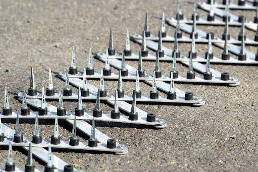 Road spikes, helicopter used to catch young car thieves