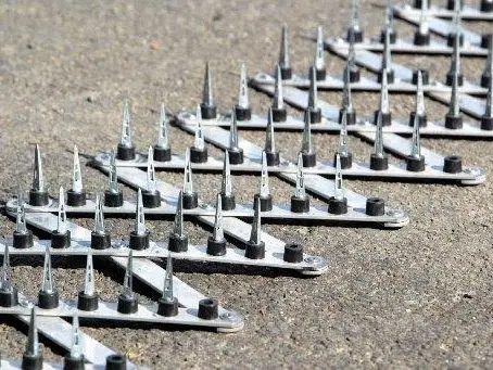 Road spikes, helicopter used to catch young car thieves