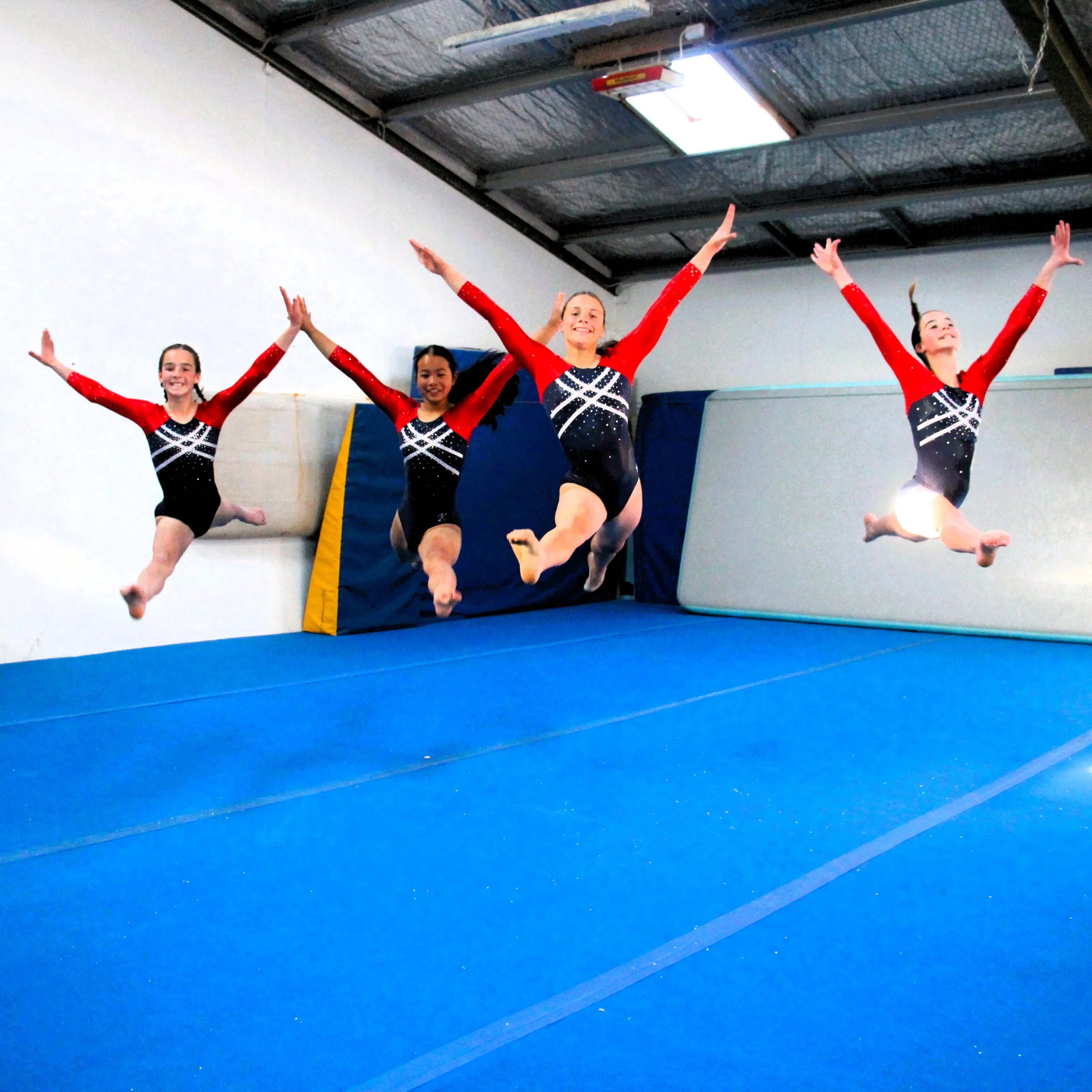 Vaulting to victory as nationals beckon for talented team