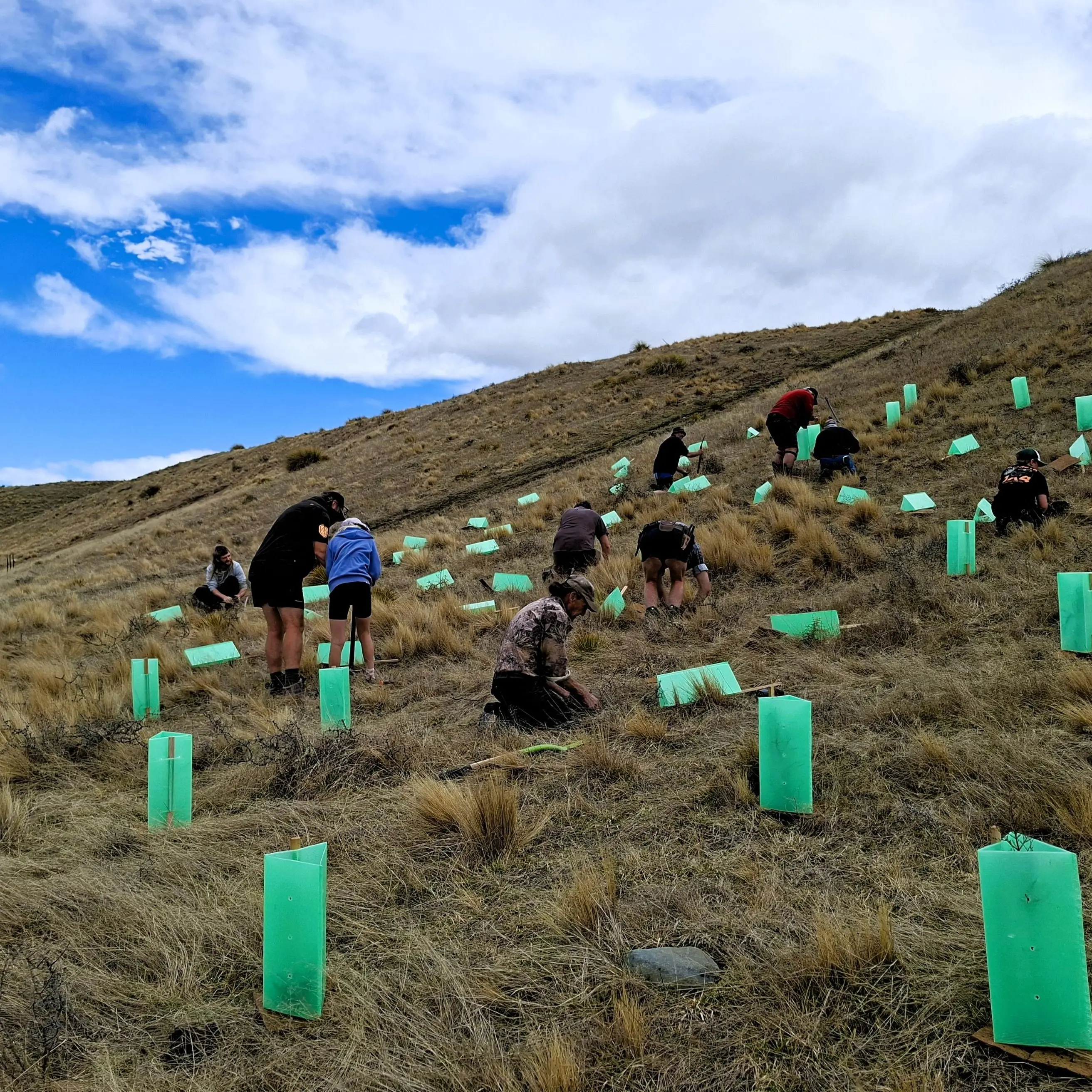 4WD group plants native trees to fix damage