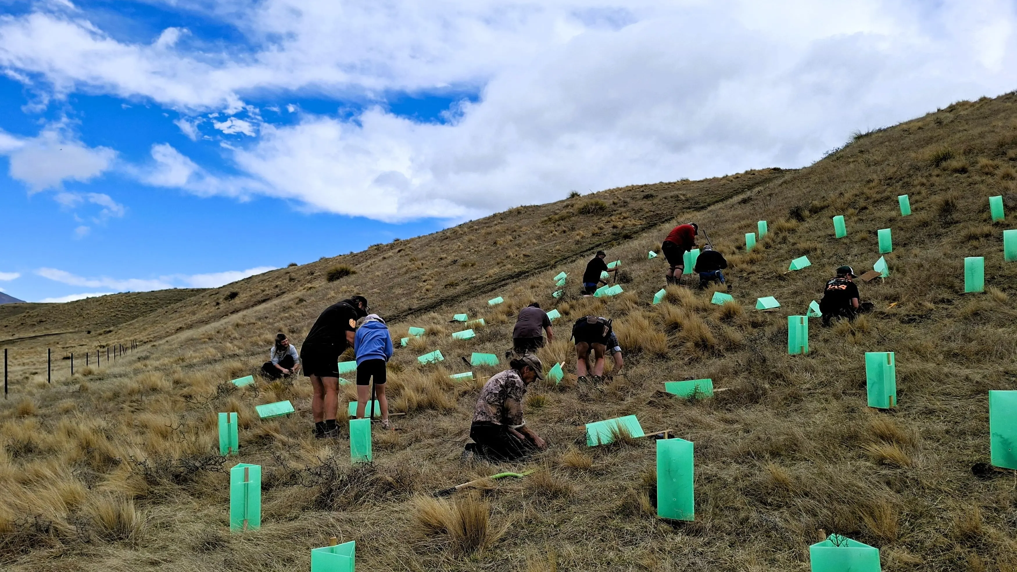 4WD group plants native trees to fix damage