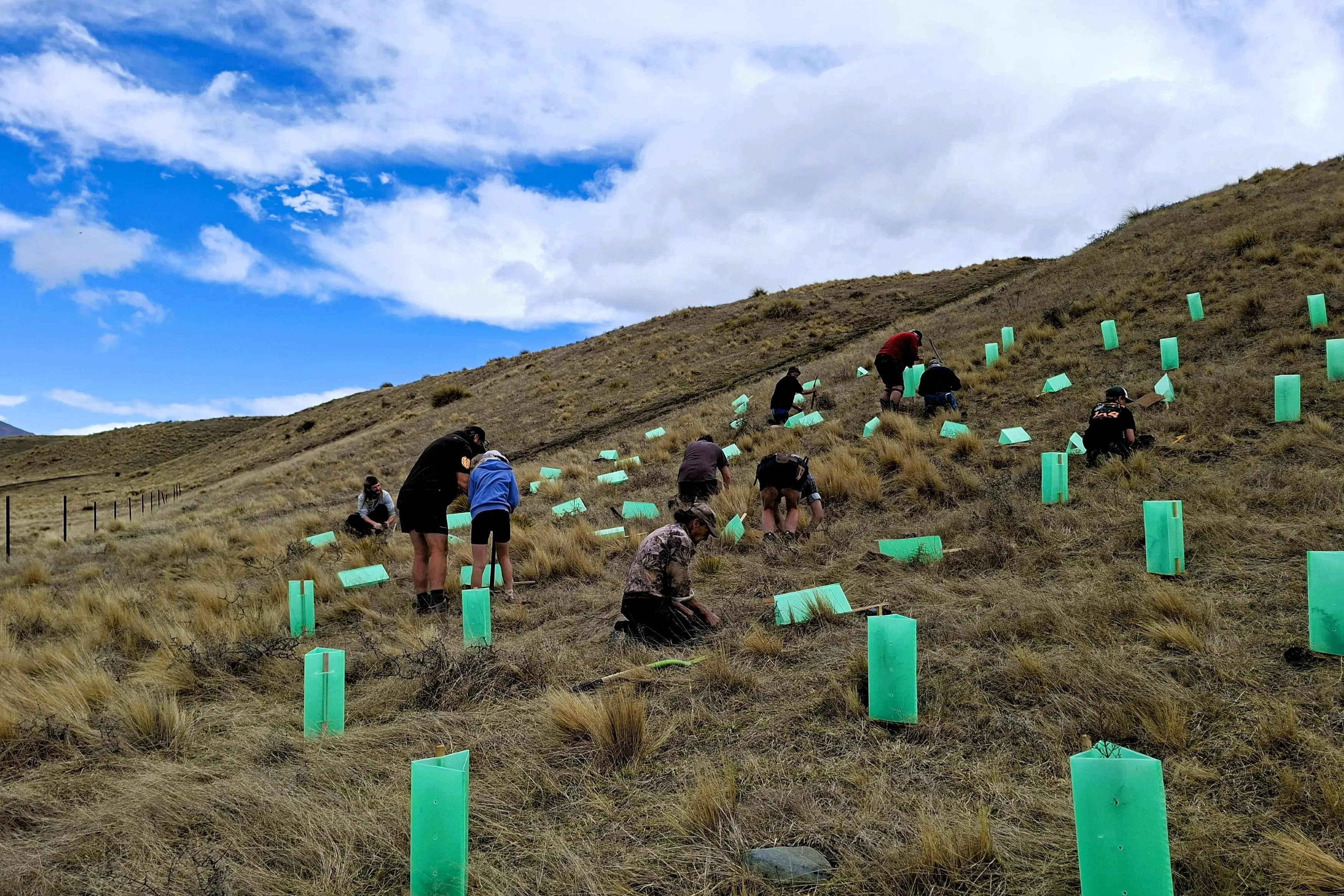 Mid Canterbury four-wheel drive (4WD) club joining forces with the Department of Conservation to plant natives shrubs and trees at Buicks Bridge, near the \\u014Ct\\u016Bwharekai/Ashburton Lakes. Photos: Supplied