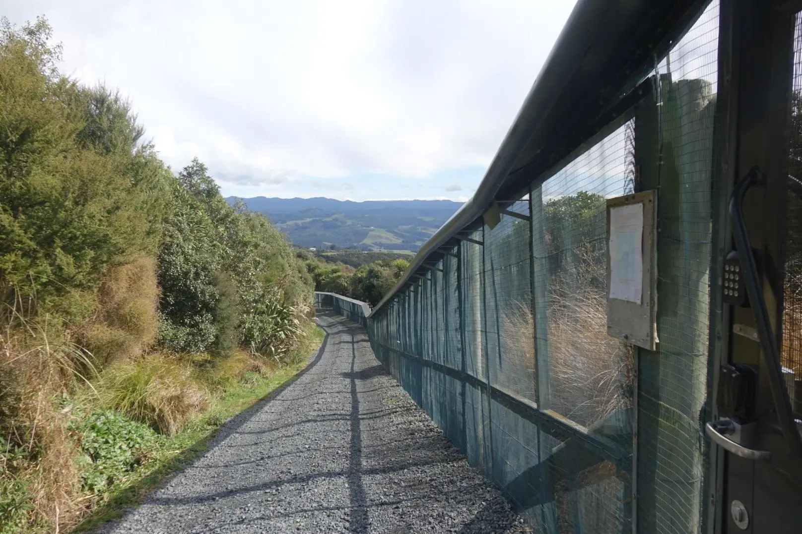 Bird life has flourished in Orokonui Ecosanctuary to the point some birds are spilling beyond the predator fence to find new homes. Photo: RNZ