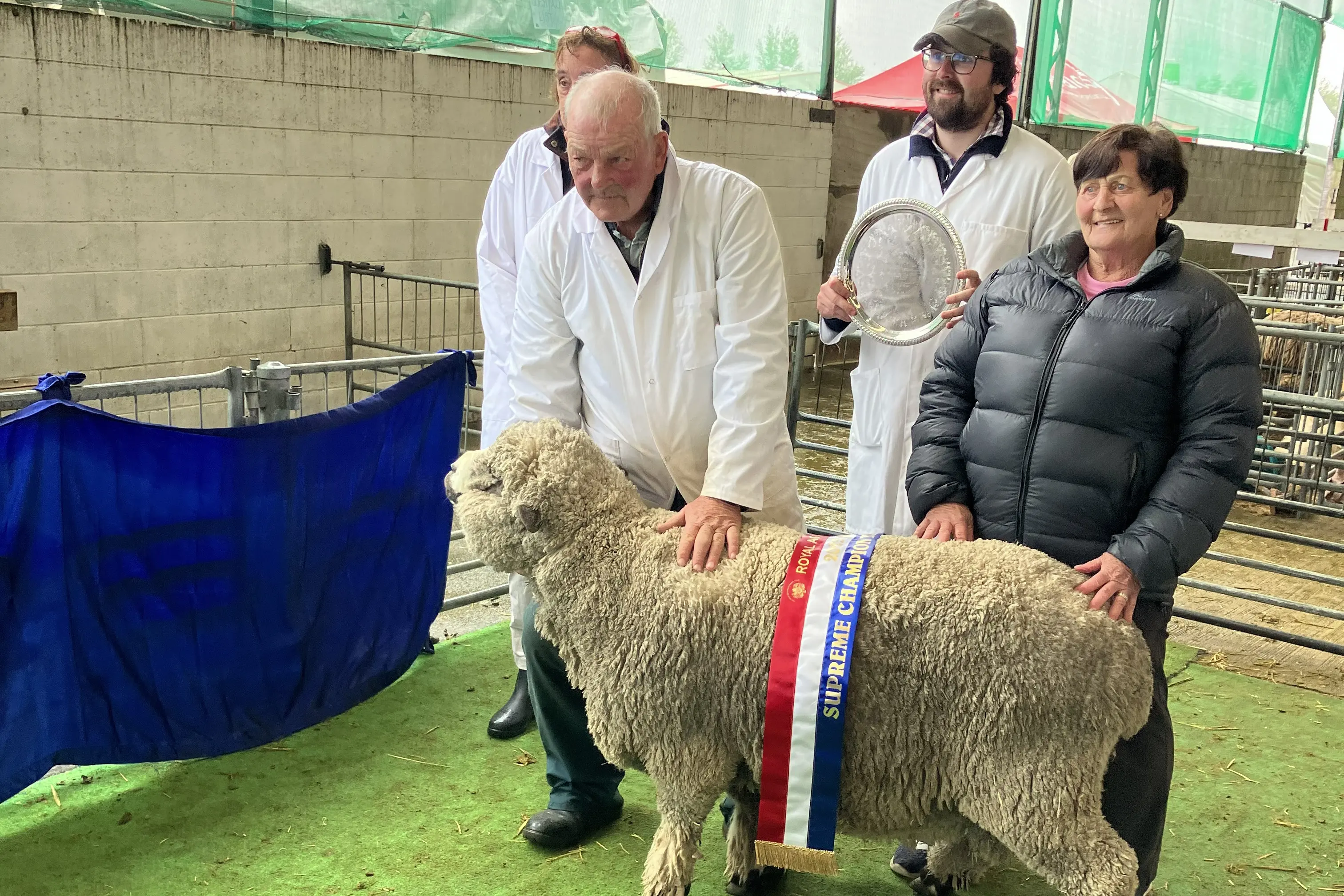 Leo Ponsonby, left, and wife, Karen, have a stud of 83 Romney, Merino and Corriedale coloured sheep at Greenacres farm near Rolleston. Photo: Supplied