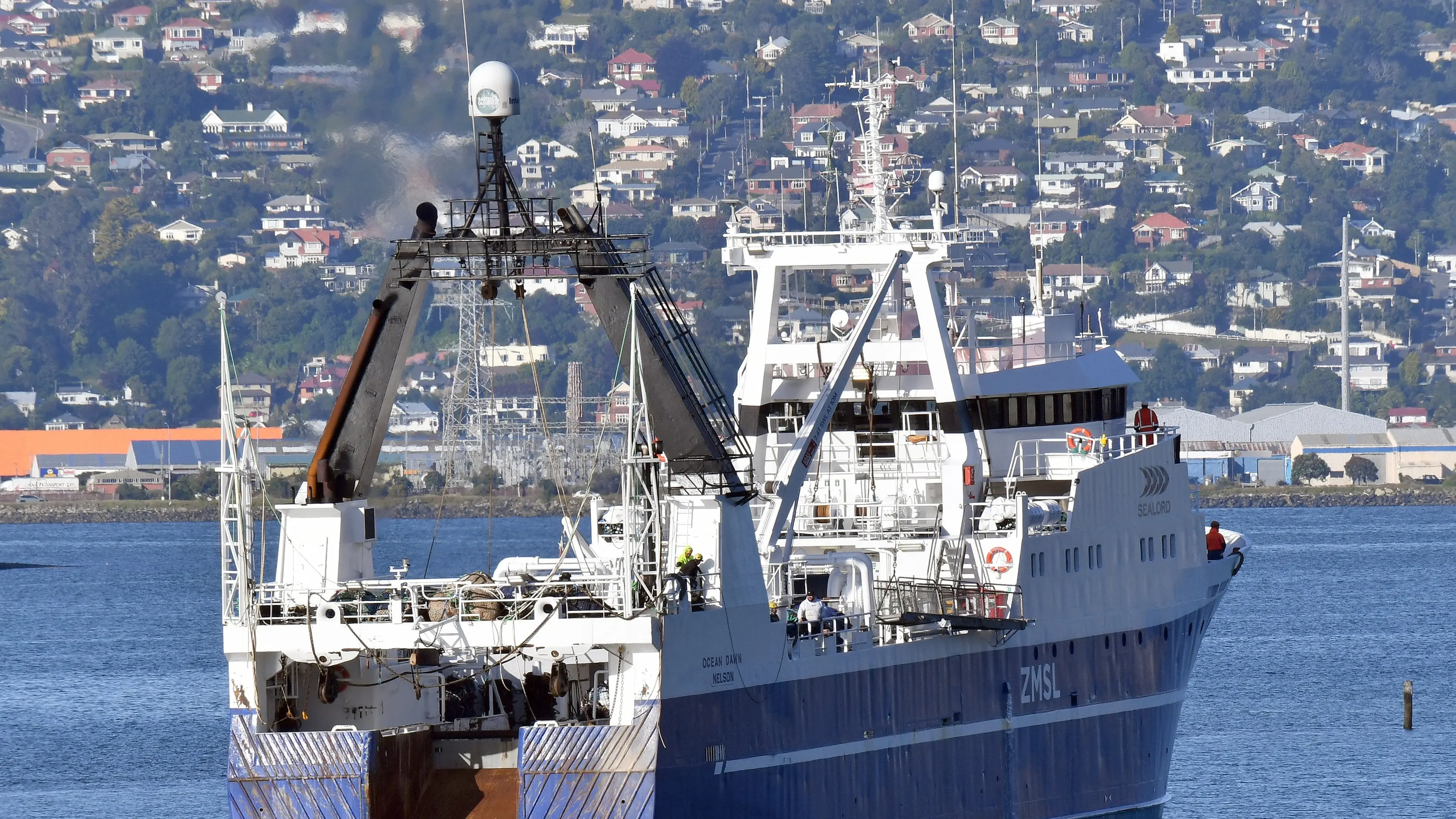 South Island commercial fishing increasing value despite fuel hikes and lower catch rates