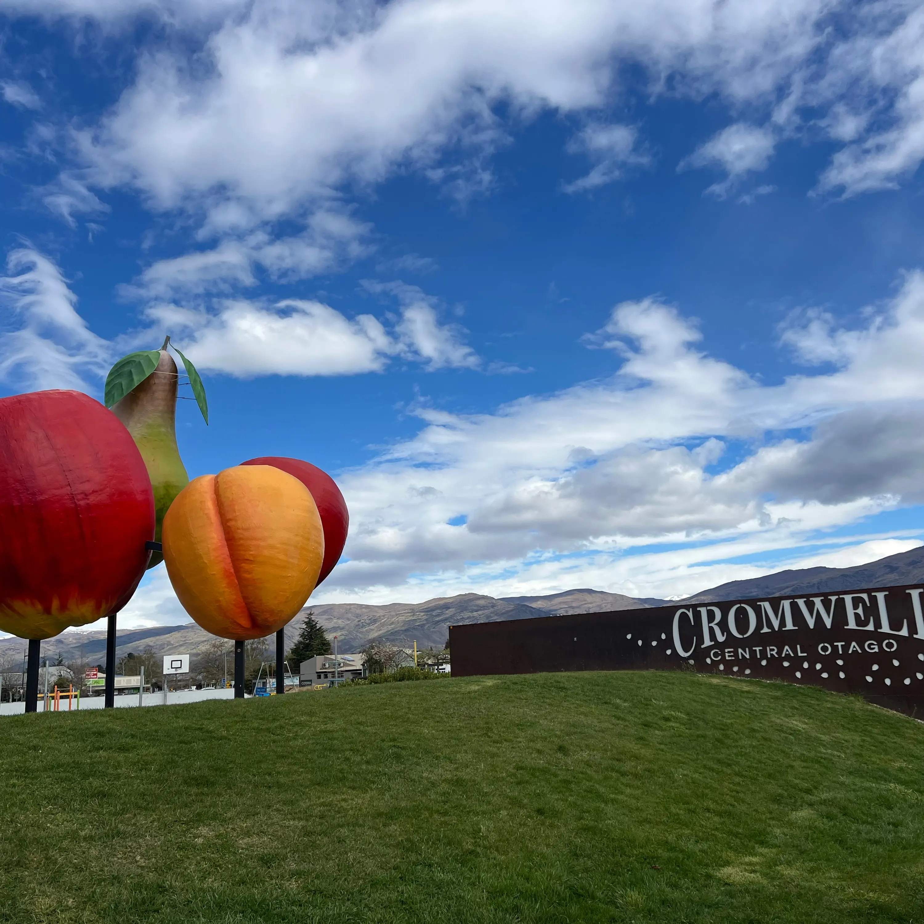 Freshen up for Cromwell’s big fruit