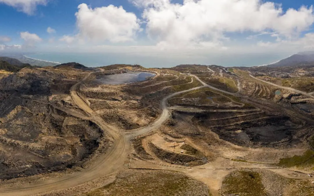 odt.co.nz - Kate Newton of RNZ - Fast-track application to mine Denniston Plateau rejected