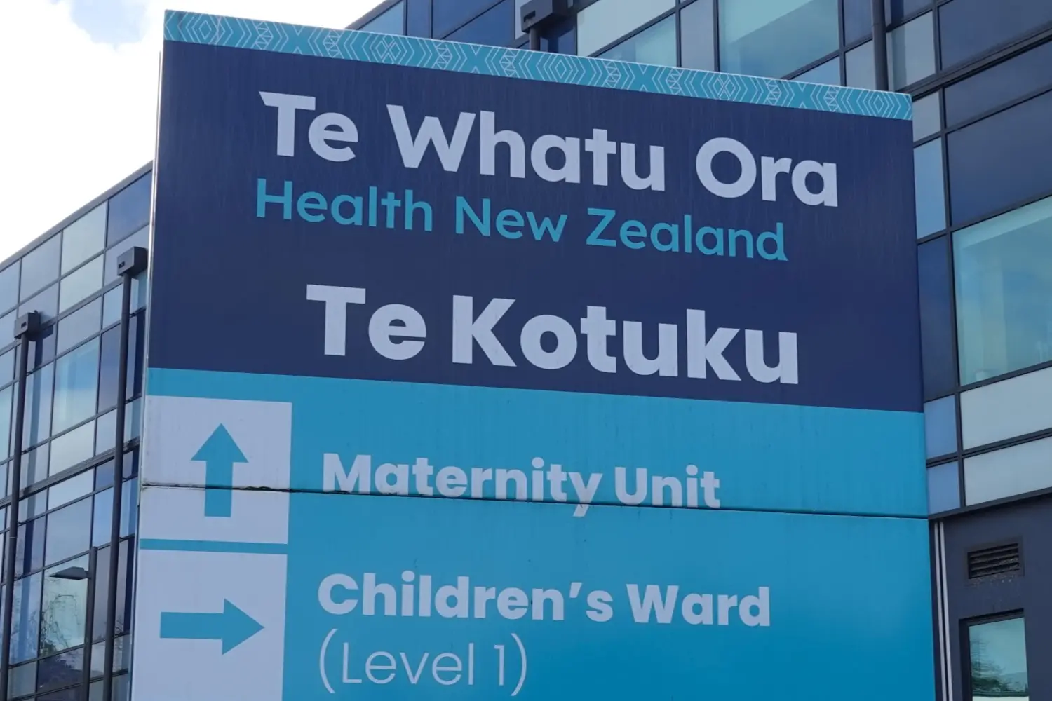 Te Whatu Ora Health New Zealand.