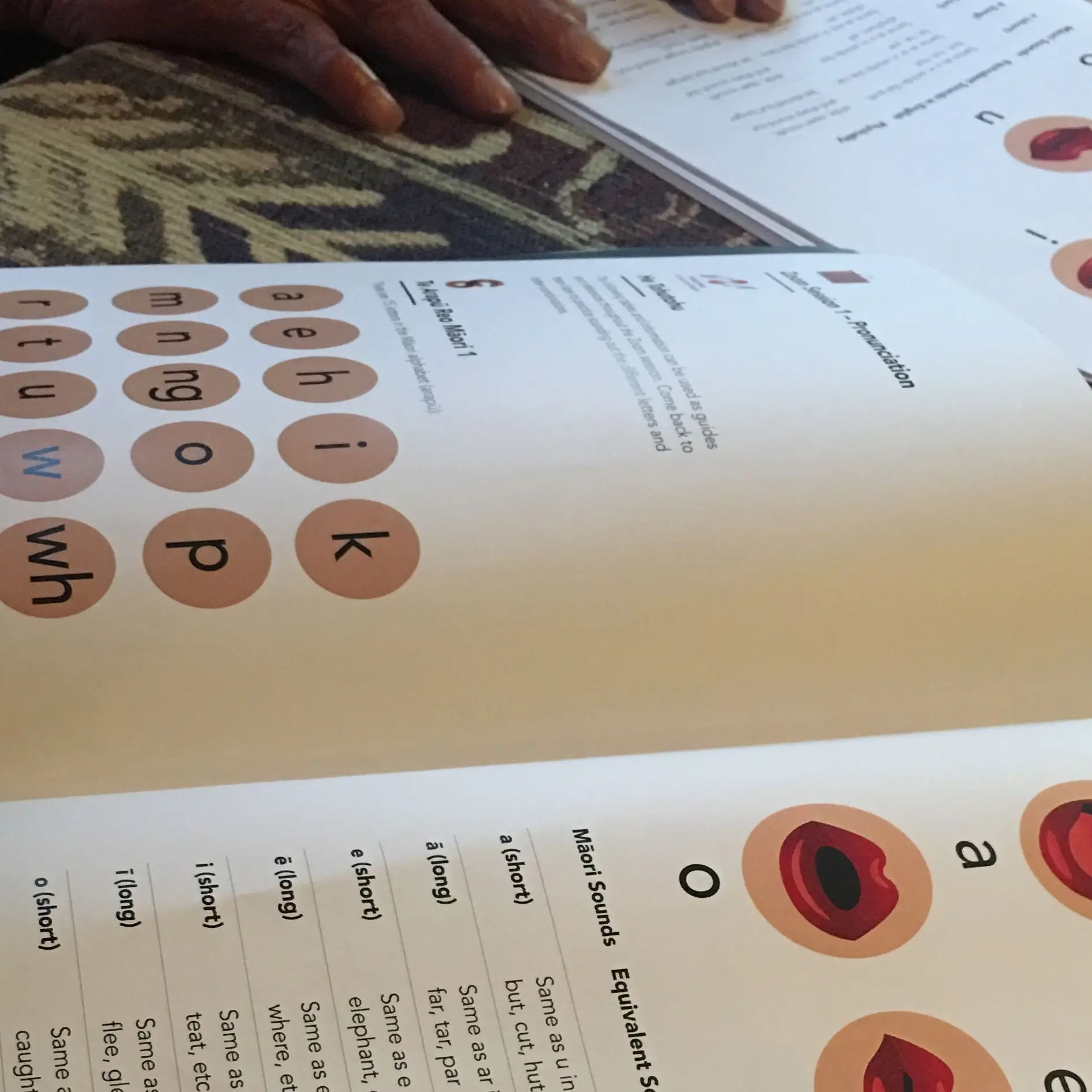 Māori words in curriculum shouldn't be controversial, principals say
