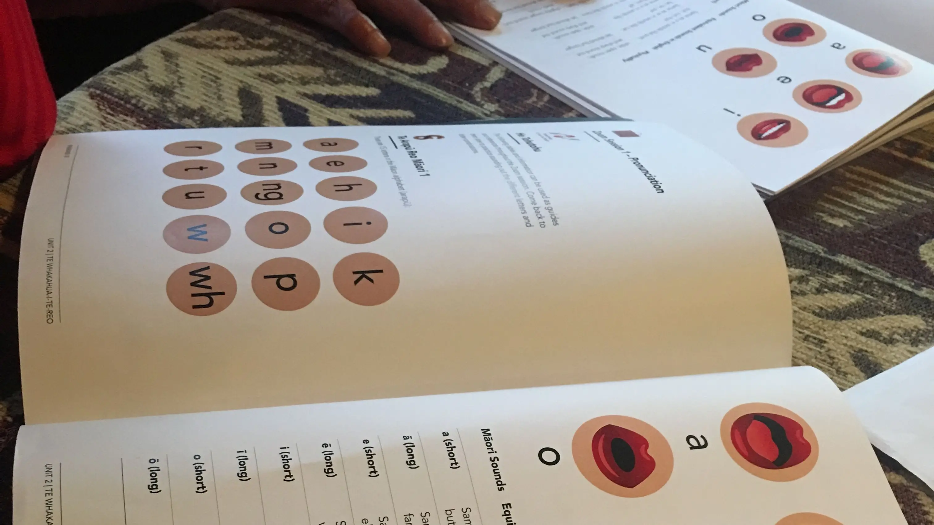 Māori words in curriculum shouldn't be controversial, principals say