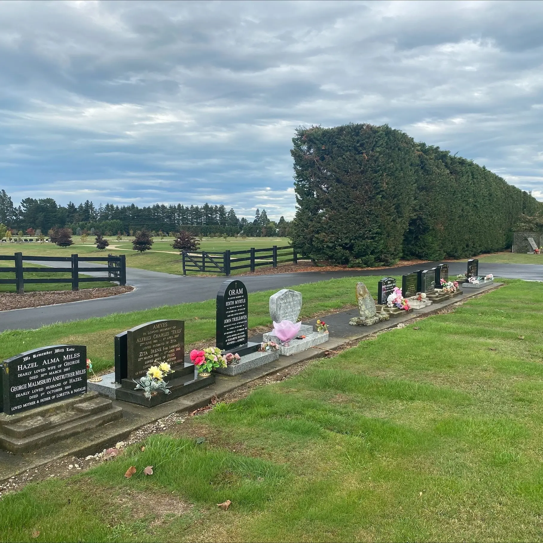 Should dogs be allowed in cemeteries?