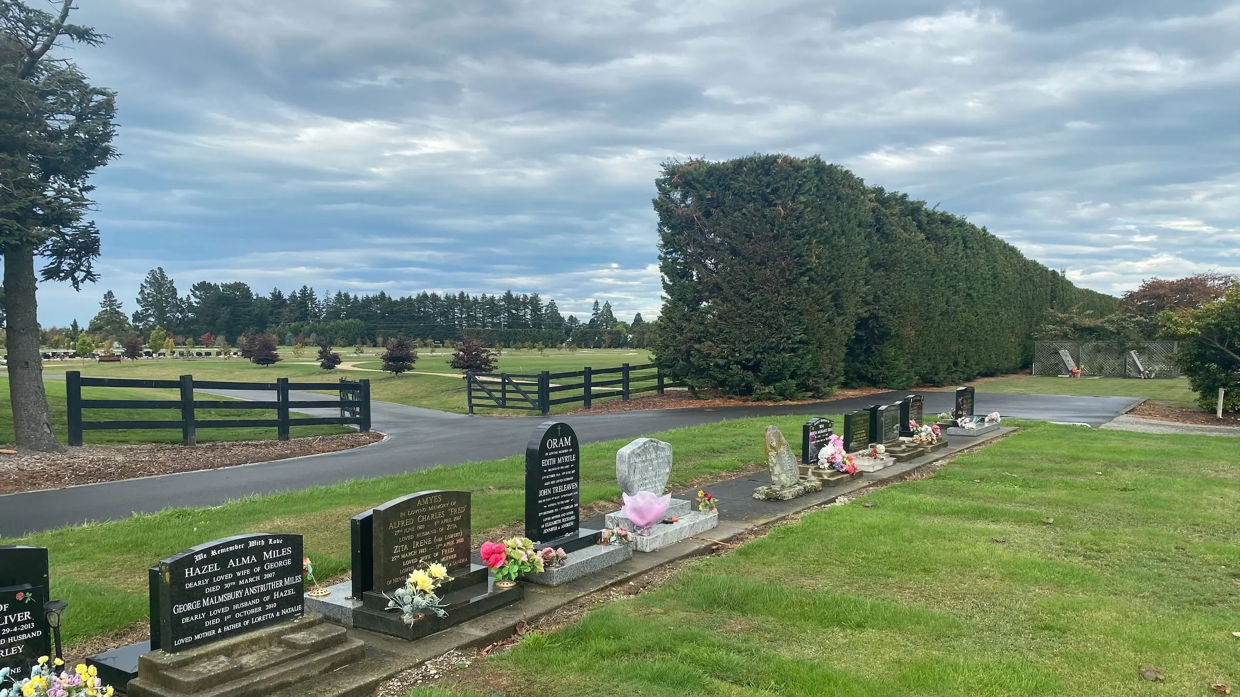 Should dogs be allowed in cemeteries?