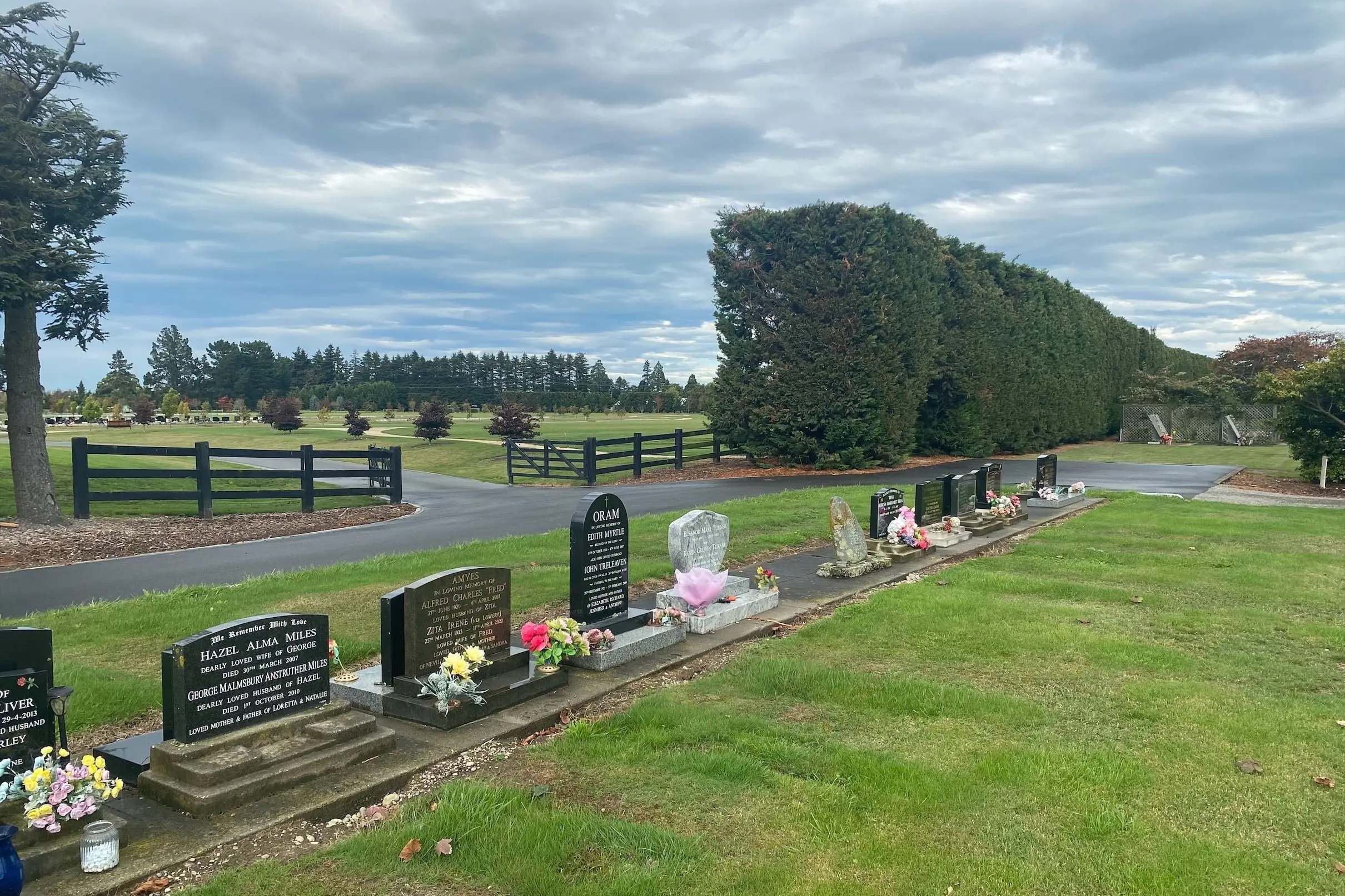 Ashburton councillors clashed over whether dogs should be allowed in the district\\'s cemeteries, with a 5-4 vote keeping them banned. Photo: File