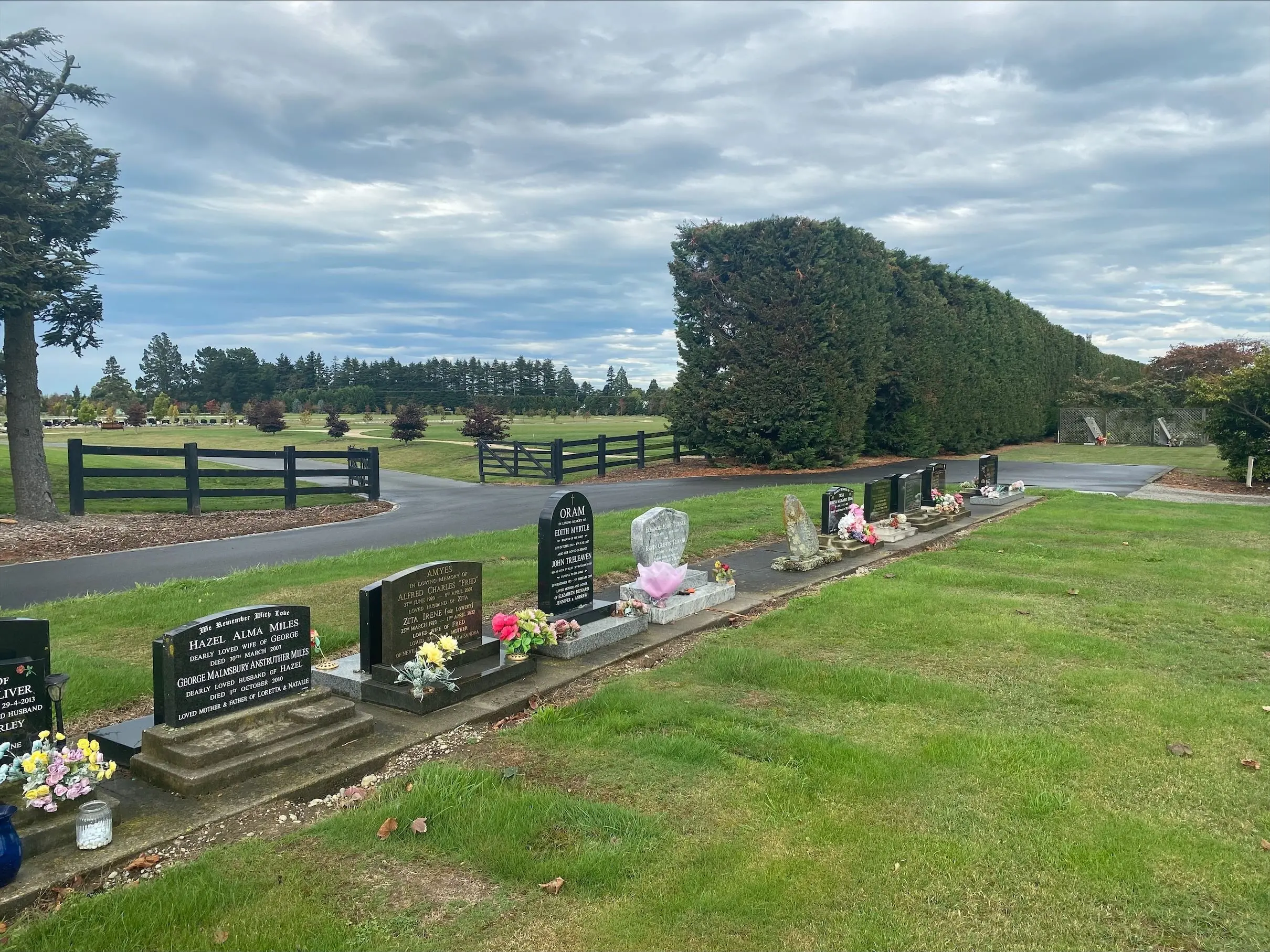 Should dogs be allowed in cemeteries?