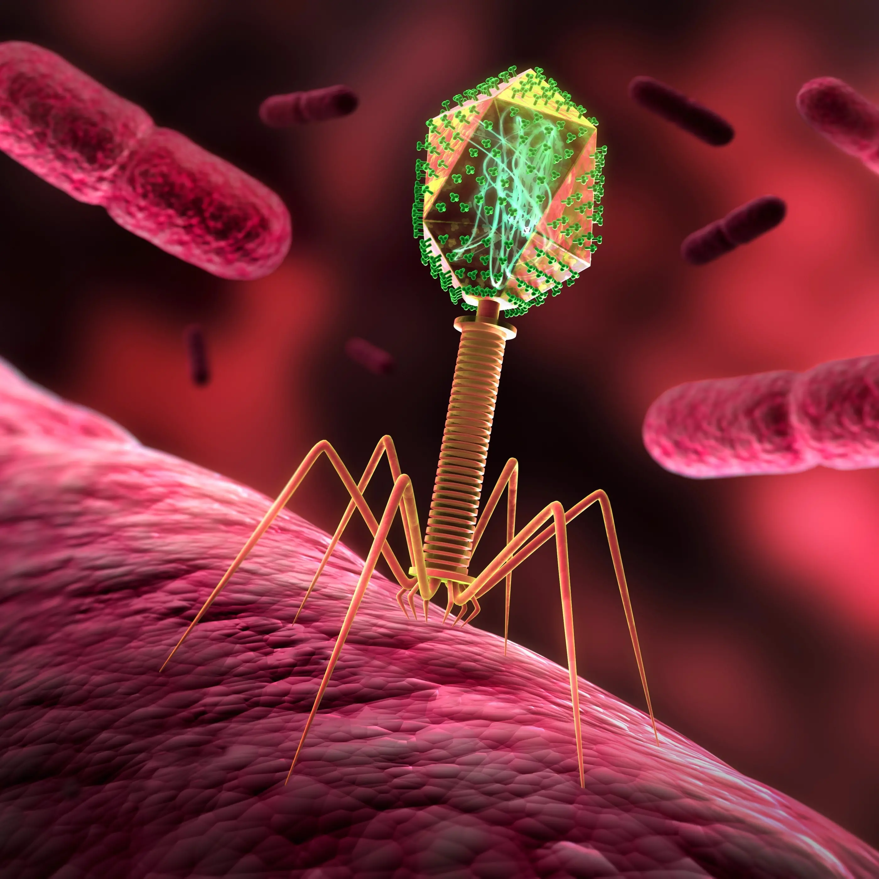 ‘Big leap’ in combating antimicrobial resistance