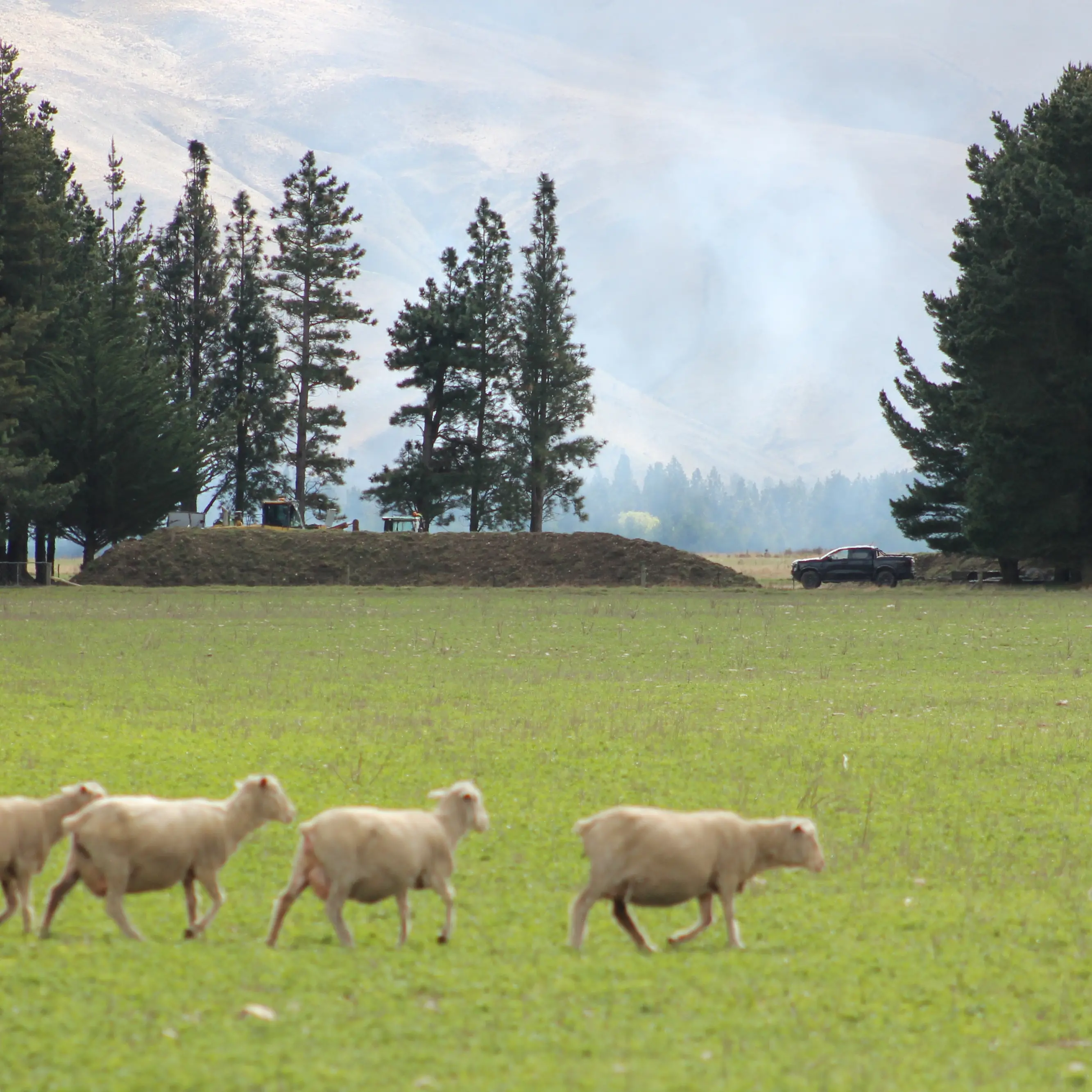 ‘A regional crisis’: Second council plans to spread human waste on Central Otago farmland