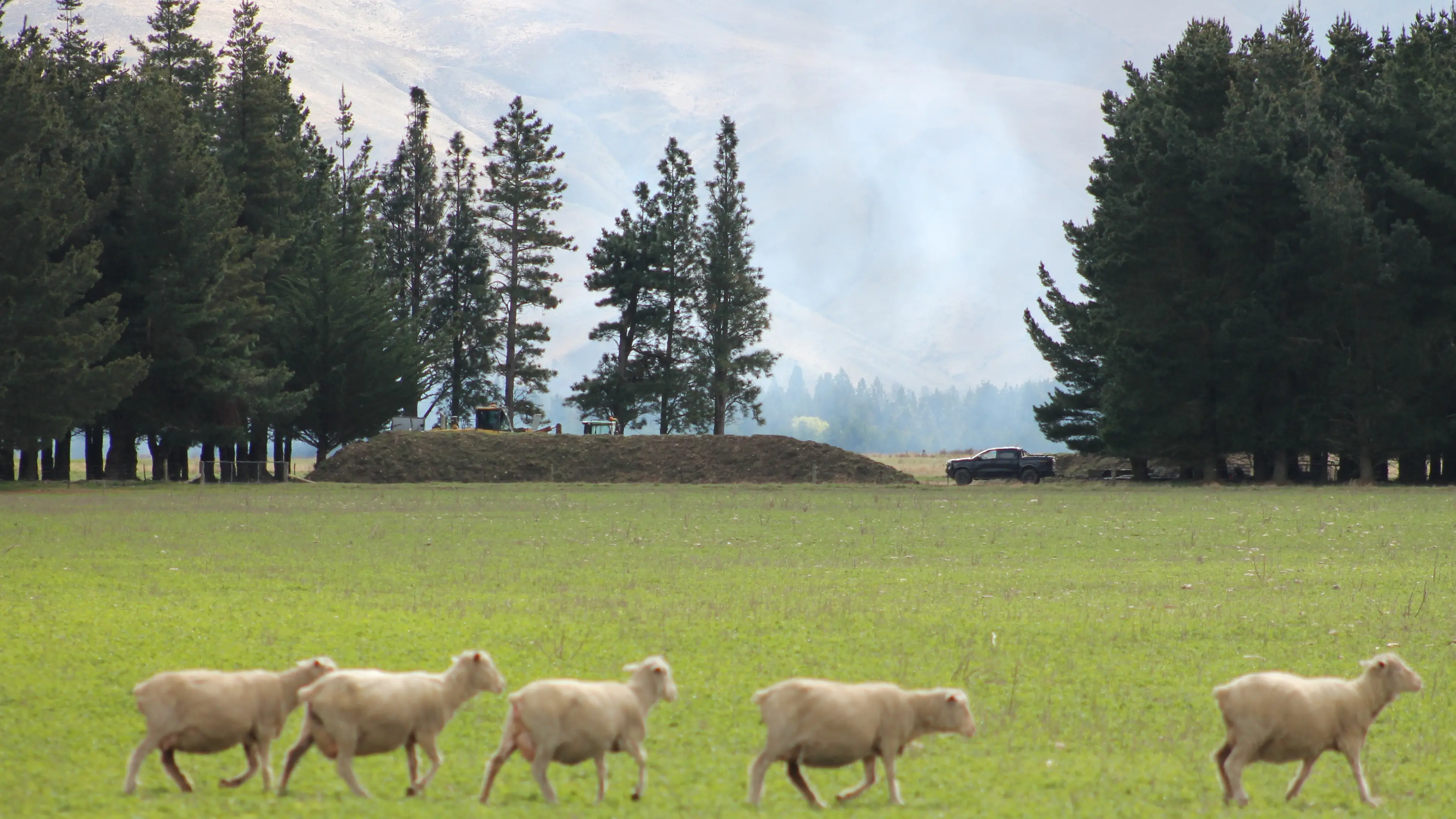 ‘A regional crisis’: Second council plans to spread human waste on Central Otago farmland
