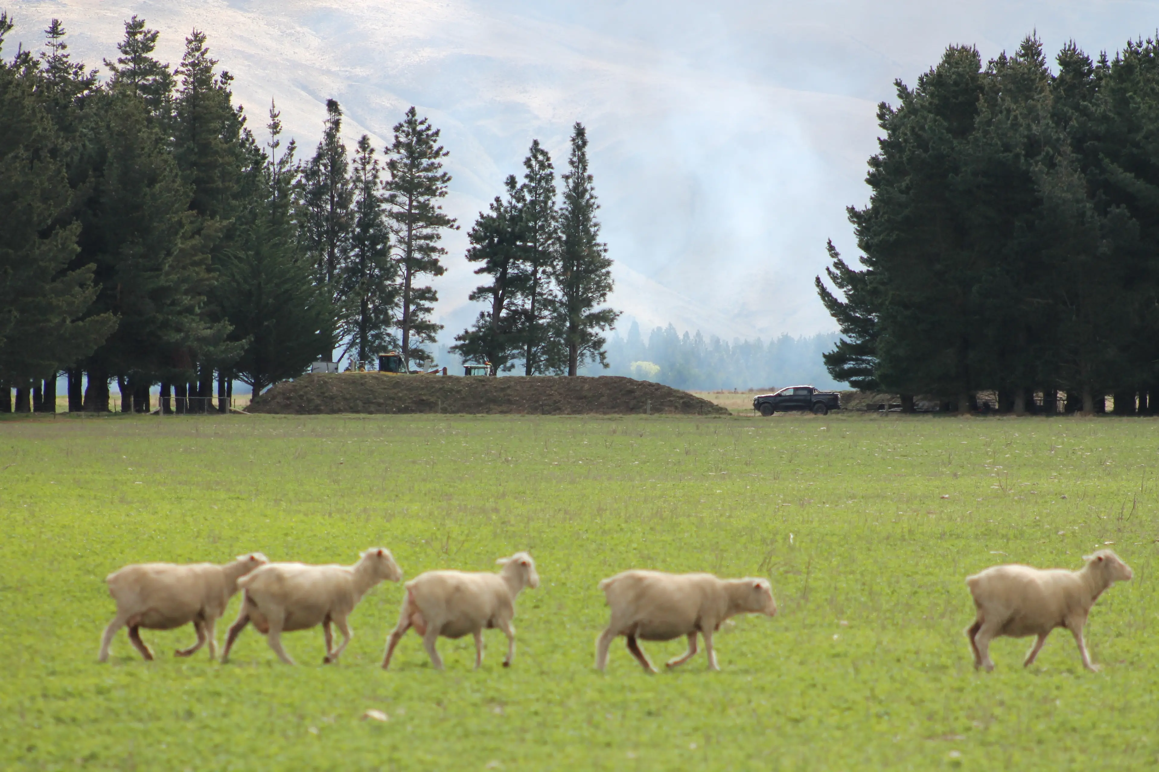 ‘A regional crisis’: Second council plans to spread human waste on Central Otago farmland