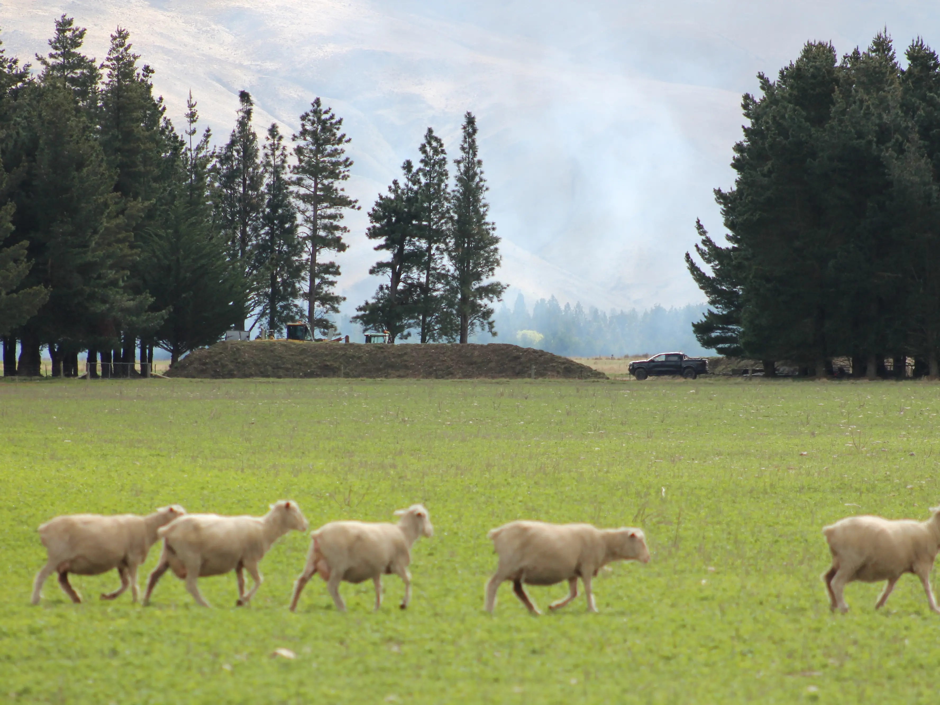 ‘A regional crisis’: Second council plans to spread human waste on Central Otago farmland