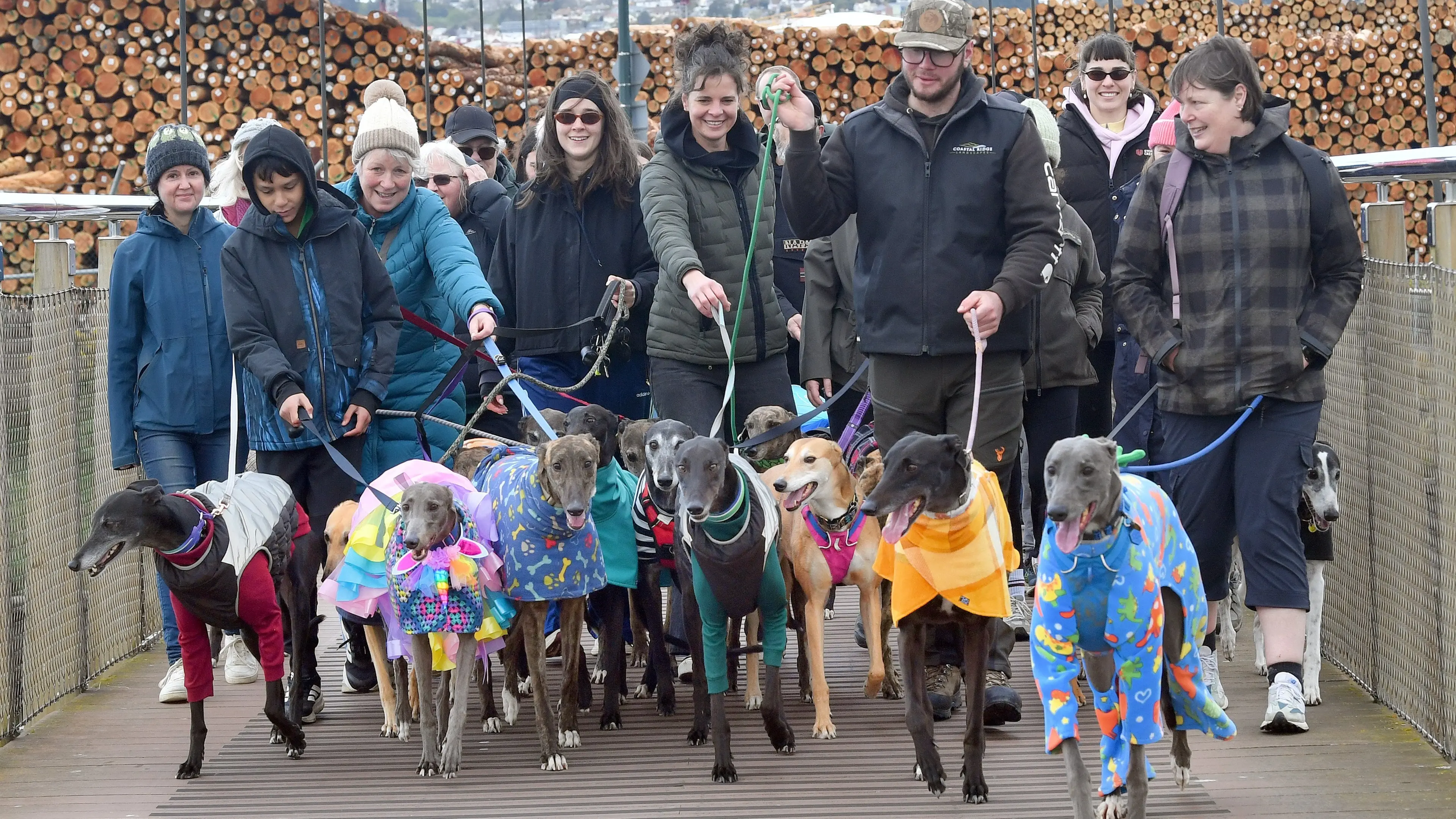 Dunedin mythical mutts meet for Great Global Greyhound Walk