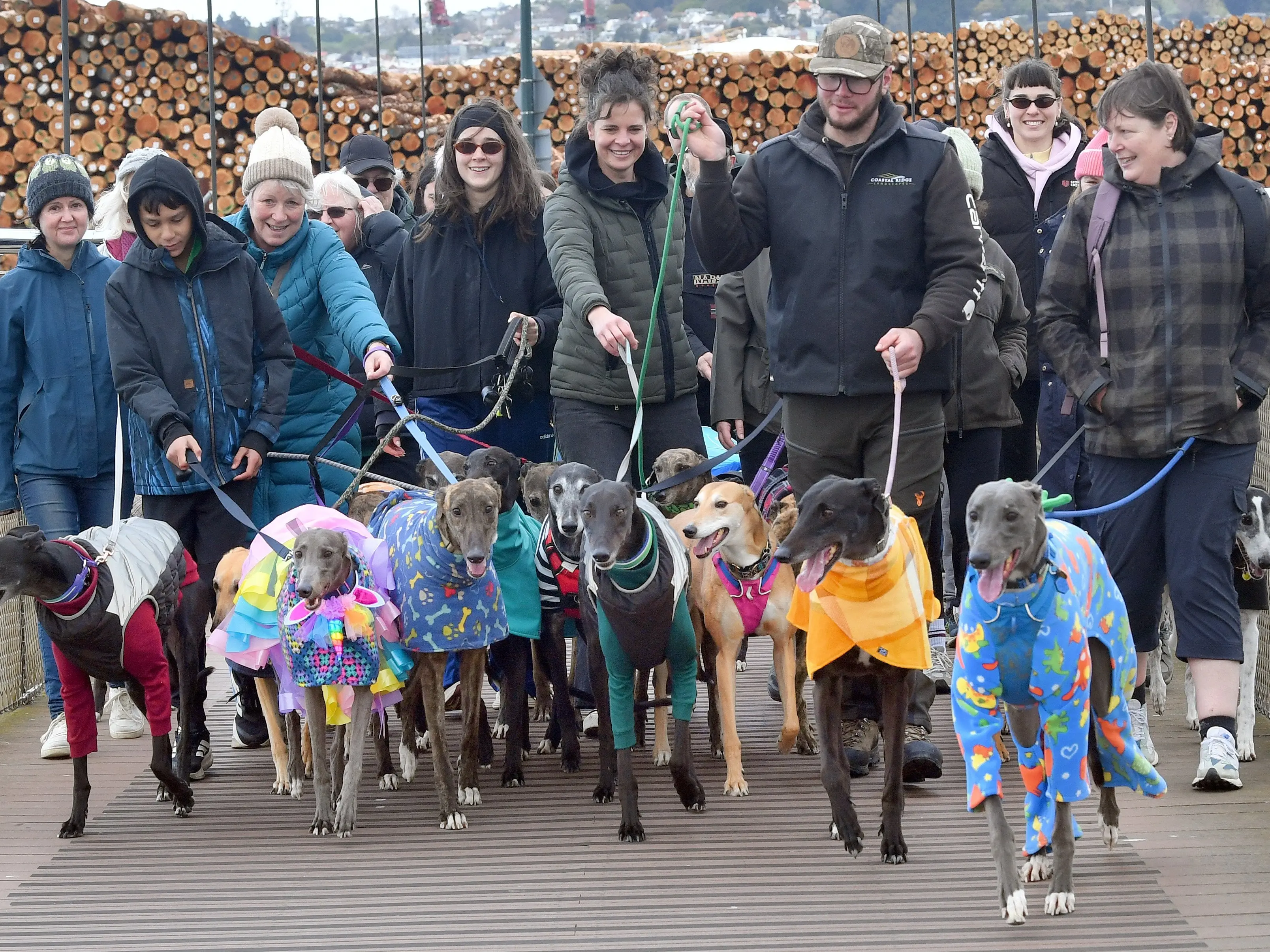 Dunedin mythical mutts meet for Great Global Greyhound Walk