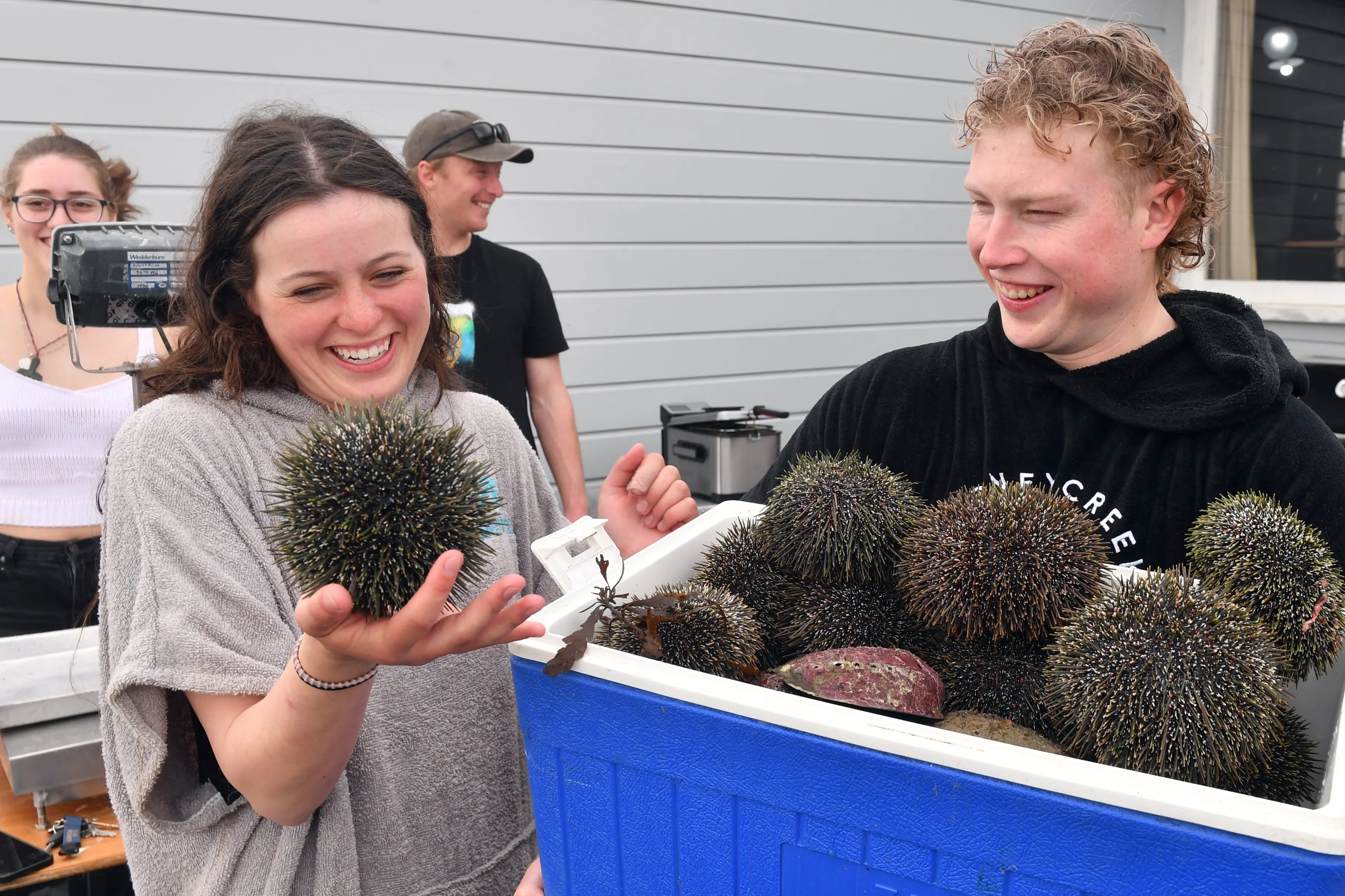 Alyssa Hitchcox and Cory Berkett sort through a bin of paua and kina during the Otago Student Spearfishing and Hunting Club spearfishing competition weigh-in on Saturday. Photo: Stephen Jaquiery