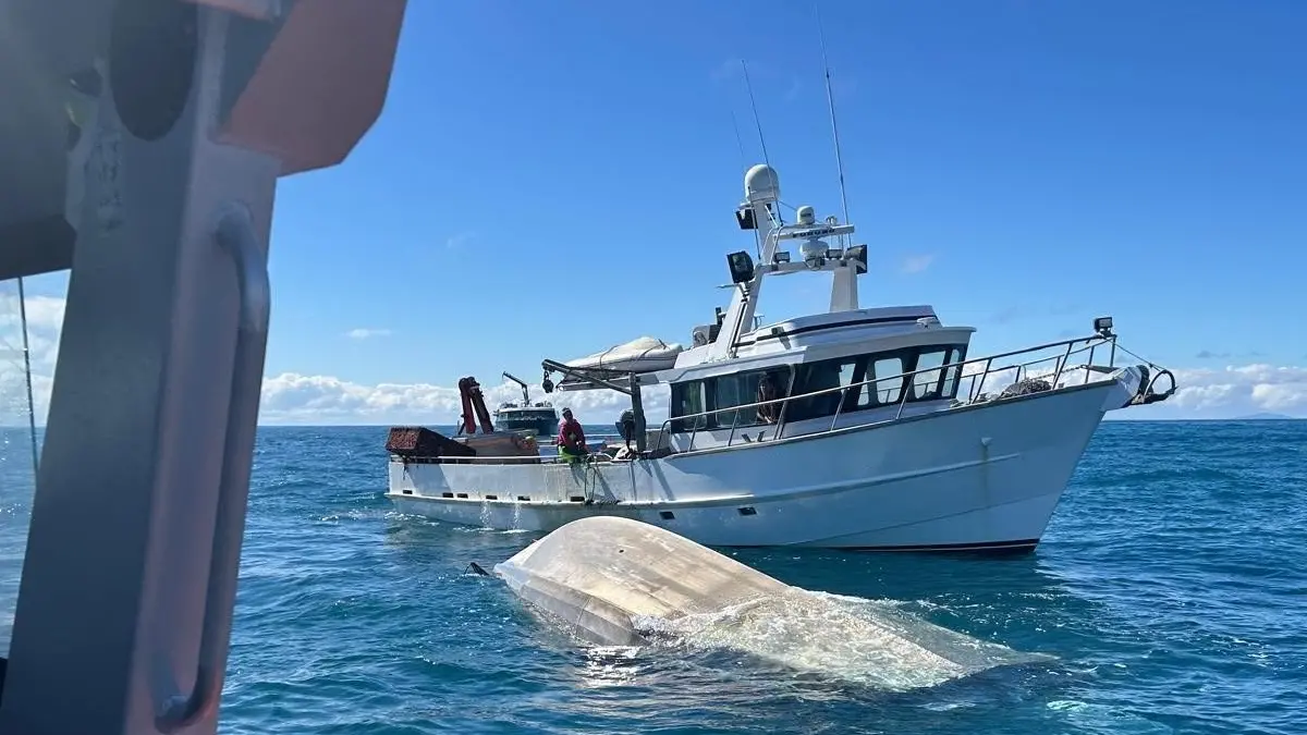 ‘It could have been a totally different situation’: Diver frees crew mate after Stewart Is capsize