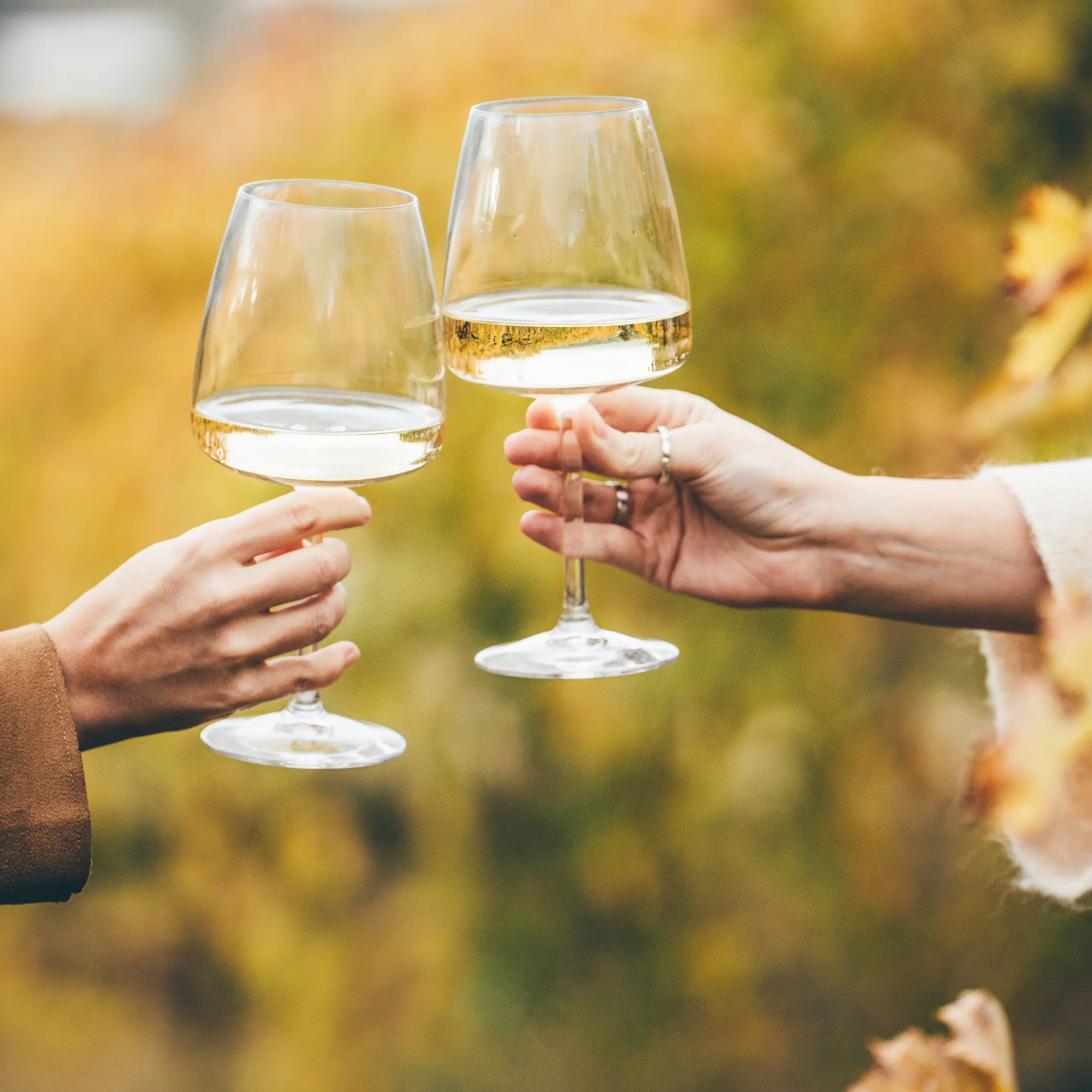 Chardonnay versatile wine style