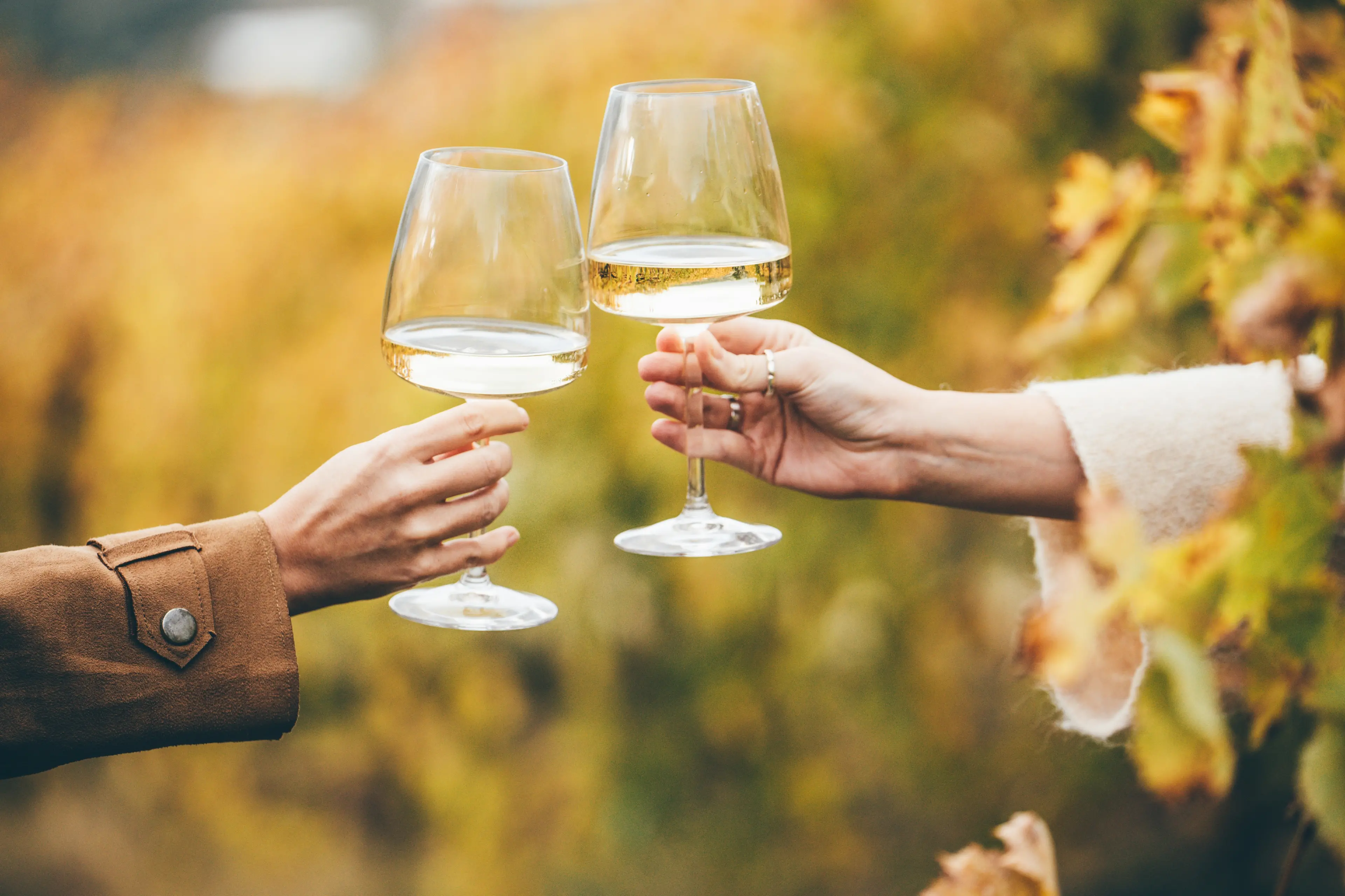 Central Otago chardonnay looks good for summer drinking. Photo: Getty Images