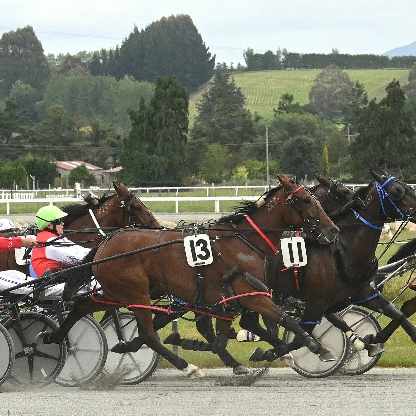 Gore Harness Racing Club states case for course survival
